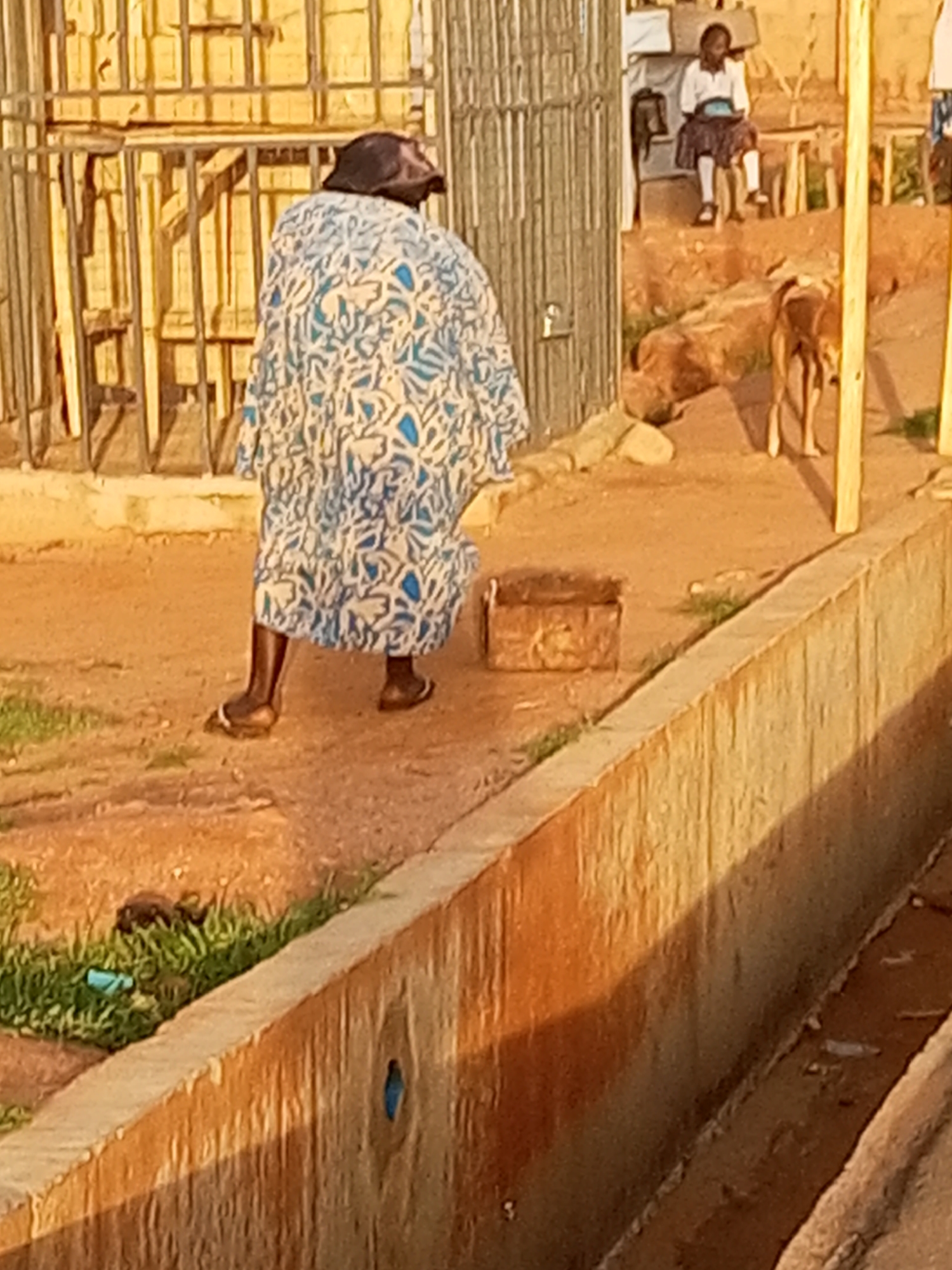 The image shows a street scene in Tempure, Nigeria. In the foreground, a person wearing a blue and white patterned robe and a dark head covering walks away from the camera, on a dirt path. The person is wearing sandals. To the left of the path, there is some green grass. In the middle ground, a small, rectangular wooden box sits on the dirt path. Further back, a young girl in a white shirt and a dark skirt is sitting on a wooden bench. A brown dog is standing near the girl, facing away from the camera. Behind the girl and the dog is a building with a barred window. The background is a textured, light-colored wall. In the far right of the image, two wooden posts are visible. The overall scene appears to be outdoors, under natural light, possibly in the afternoon, given the shadows.