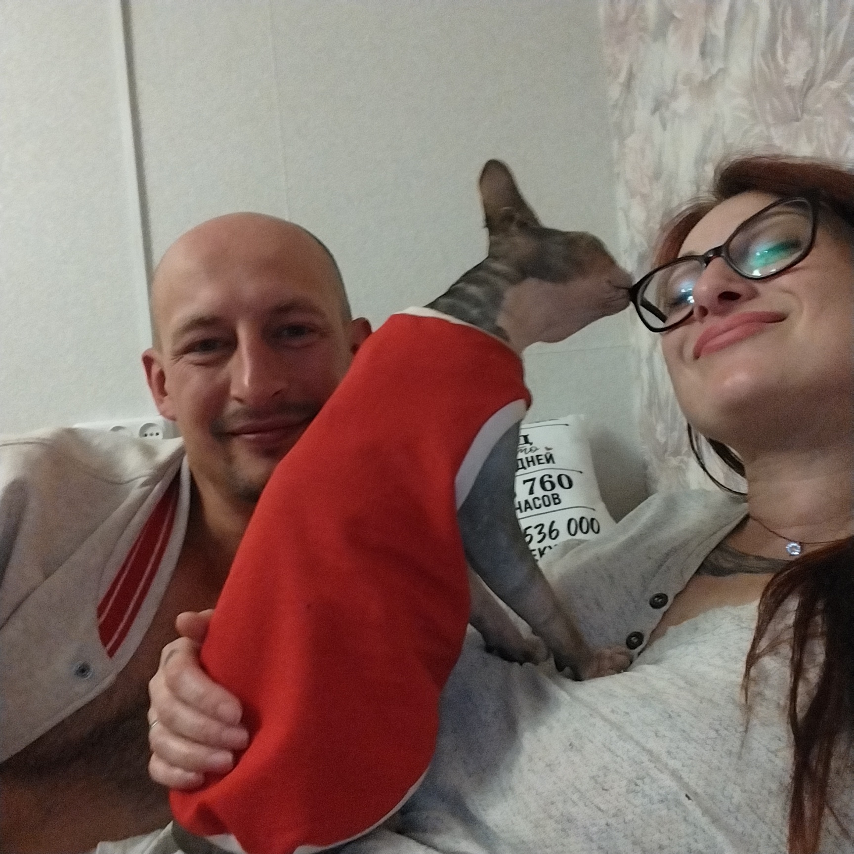 In an indoor setting, two adults and a Sphynx cat are depicted. A bald man is positioned on the left side of the frame, smiling and wearing a light-colored jacket with red and white stripes on the collar. A woman with glasses and dark hair is on the right, also smiling. A Sphynx cat, wearing a red garment, is situated between them, with its head touching the woman's face as if kissing her. The background shows a textured wall and a pillow with Russian text. The lighting suggests it is daytime.