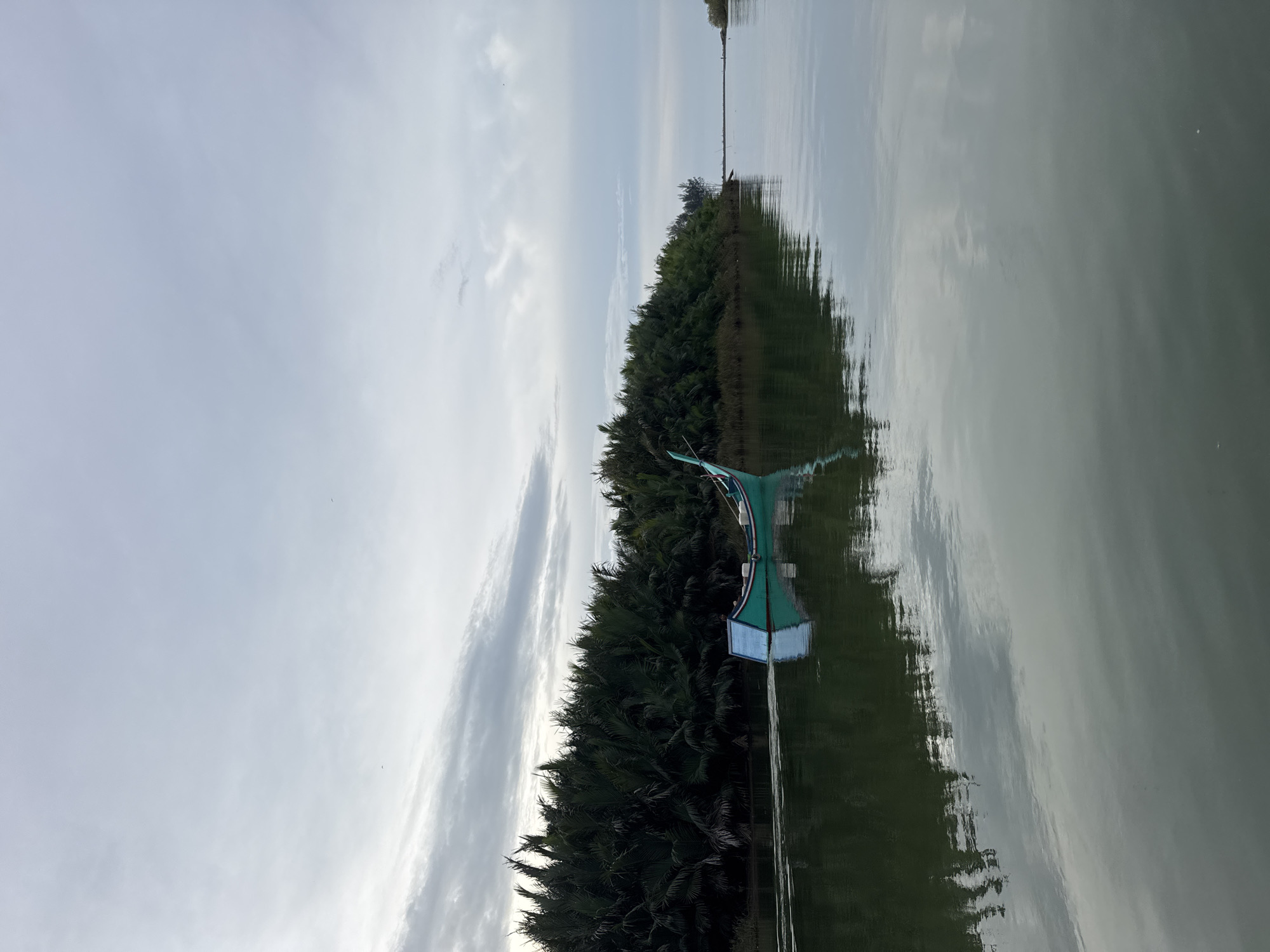 A serene view of a turquoise boat gliding on a calm river in Reudeuep, Indonesia. The boat, adorned with white accents and a blue panel at the stern, leaves a gentle wake. Dense, dark green foliage lines the riverbank, creating a striking contrast with the overcast sky. The water mirrors the surrounding greenery and the cloudy sky, adding to the tranquil atmosphere. In the distance, the river narrows and disappears into a hazy horizon.