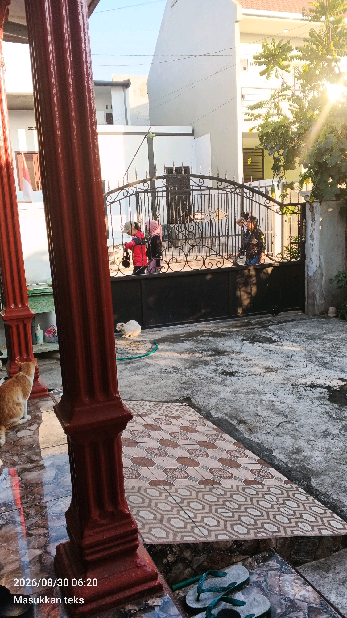 The image depicts an outdoor scene, likely a yard in front of a residential building, with a metal gate. Sunlight streams in from the right, creating lens flare and illuminating parts of the scene.
In the foreground, a large, dark red, fluted column is prominent on the left. To its right, an orange cat is sitting on a tiled floor, facing left. Further into the yard, a white cat is lying near a green garden hose on a concrete surface. A patterned mat is laid out on the concrete.
Behind the cats, a black metal gate with ornate scrollwork separates the yard from the area beyond. Three individuals are visible near the gate. Two are on the left side of the gate, and one is on the right. The two individuals on the left appear to be children or young people. One is wearing a red jacket and a cap, holding a dark bag. The other is wearing a pink hijab and a dark outer garment. The person on the right side of the gate is wearing a dark jacket and jeans, looking towards the left.
The background shows parts of buildings. To the left, a building with a white facade and an Indonesian flag visible through a window. To the right and center, a multi-story building with white walls and balconies. Green foliage from trees is also visible, particularly on the right side, with the sun shining through it.
The ground surfaces include polished tiles near the foreground column, concrete, and patterned mats. The overall impression is a residential setting during daylight hours, possibly in the late afternoon or early morning given the low angle of the sun.
The timestamp on the image reads "2026/08/30 06:20", suggesting the photo was taken on August 30, 2026, at 6:20 AM. The text "Masukkan teks" is also present, likely a placeholder or instruction. The location is identified as Sumberporong, Indonesia.