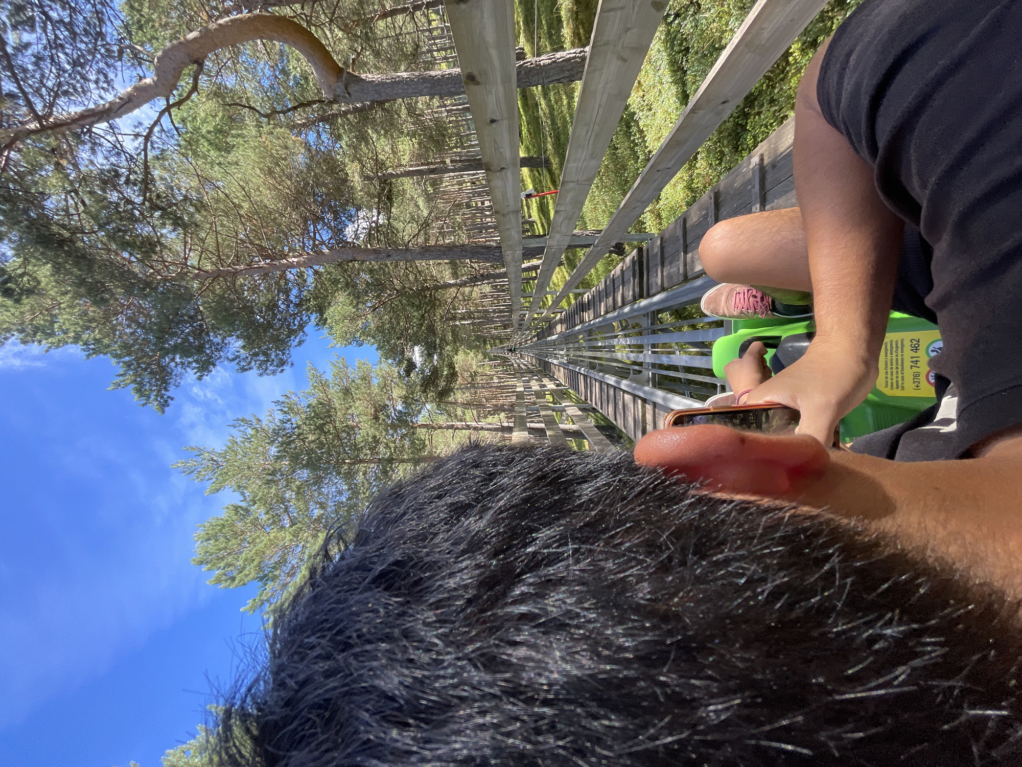 In a forest setting near Juberri, Andorra, a first-person perspective shot captures a person riding a toboggan on a metal track. The track curves ahead, disappearing into the distance, bordered by a wooden fence and tall pine trees. The person's dark hair is visible at the top of the frame, and their right hand holds an orange smartphone. Their legs, clad in a black garment and pink sneakers, are extended forward. A green toboggan with instructions printed on its side is in the foreground. The sky above is a clear blue with a few wispy clouds, and sunlight filters through the trees, casting shadows on the forest floor.