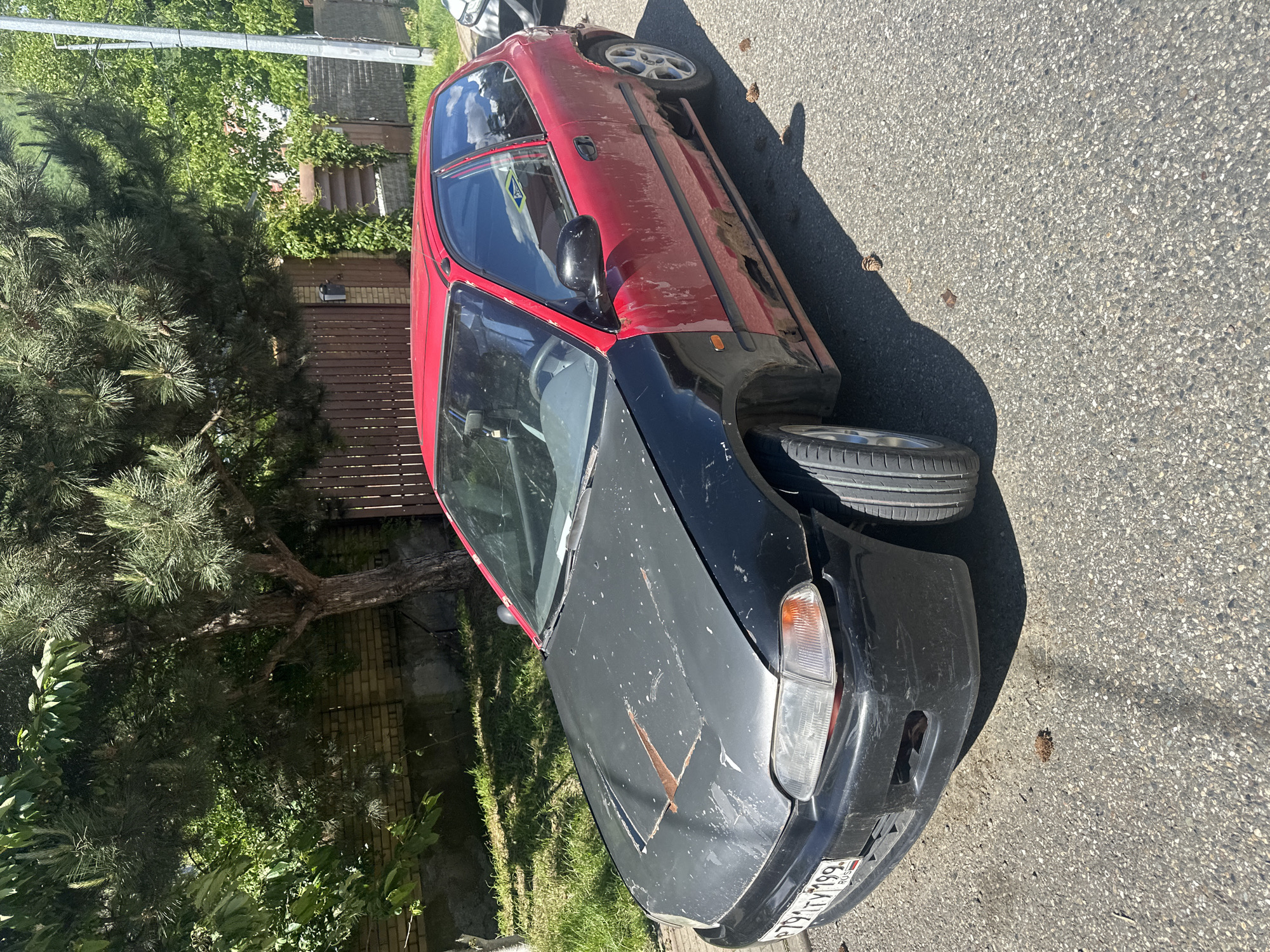 The image displays a red and black car parked on the side of an asphalt road in a sunny, daytime setting, likely in Krasnaya Polyana, Russia. The car, an older model, appears to be a compact sedan or hatchback. Its main body is red, but the hood and front bumper are black, suggesting mismatched replacement parts or a partial repaint.
The vehicle shows significant wear and tear. The red paint is faded and peeling in several areas, particularly on the doors and fenders. The black hood has numerous scratches and a prominent, V-shaped patch of rust or exposed metal. The front bumper is also scuffed. The side panels (rocker panels) beneath the doors are discolored and appear damaged. One visible front wheel has a silver multi-spoke alloy rim, while the visible rear wheel has a simpler design.
The car is parked on a light gray, speckled asphalt surface. Long shadows are cast on the pavement, indicating strong sunlight. The surrounding environment is lush with greenery, featuring dense pine trees and other deciduous trees and shrubs. In the background, sections of a brown wooden fence, brickwork, and parts of buildings are visible through the foliage.
The license plate on the front of the car reads "P791TY 199 RUS," confirming its registration in Russia. No people or activities are visible; the scene depicts a stationary vehicle in an outdoor, semi-residential or green area.
