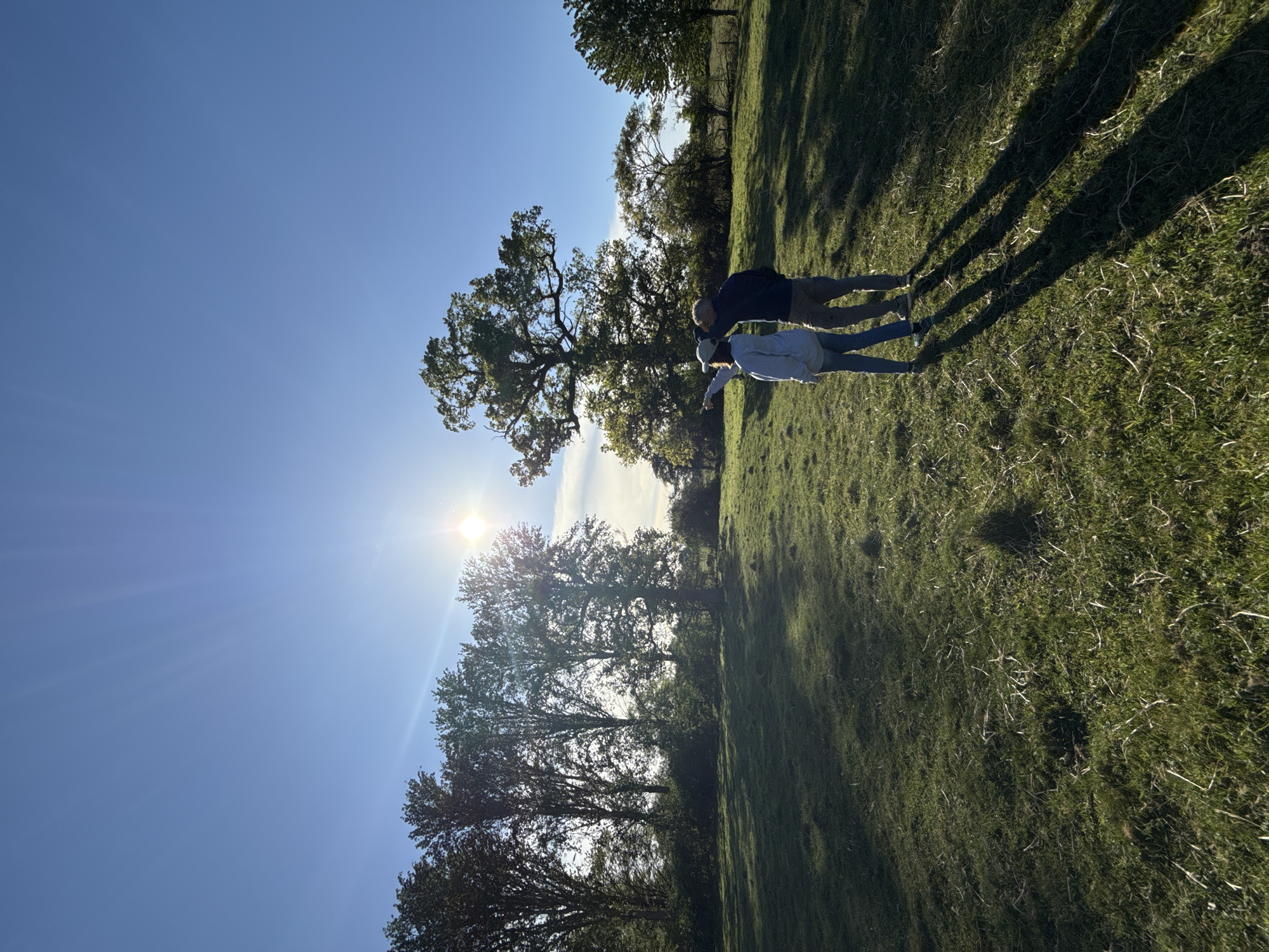 This outdoor image captures two individuals walking or standing in a sun-drenched, expansive grassy field, typical of the rural landscape found in North Hertfordshire, United Kingdom. The scene is dominated by a clear blue sky and lush green grass dotted with mature trees.
In the mid-ground, two people are visible. The person on the left wears a dark top and light trousers, while the person on the right is dressed in a light-colored hoodie and jeans, with their right arm extended, appearing to point towards something in the distance. Their stance suggests they are observing or exploring their surroundings.
The sun is prominent in the upper-left portion of the sky, casting long, distinct shadows of the individuals and nearby trees across the grassy terrain. This low angle of light indicates either early morning or late afternoon/early evening. The bright sun creates a noticeable lens flare and visible sun rays. Several large, mature trees with full green foliage are scattered across the mid-ground and background, adding depth to the natural setting. The grass shows varying textures and shades of green, with some lighter, possibly drier, patches. The overall atmosphere is bright and serene. No text is visible in the image.