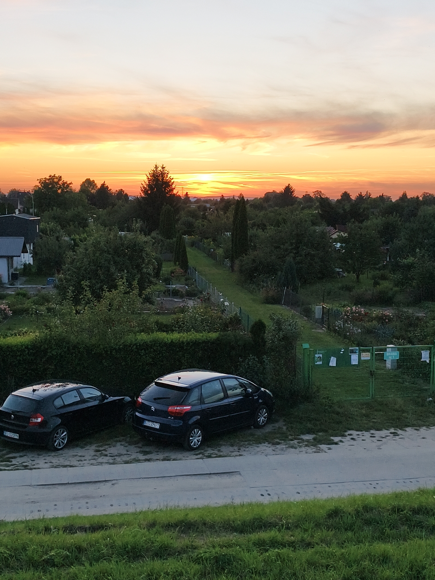 The image depicts a suburban scene at sunset in Tczew, Poland, likely a residential area with allotments or gardens. Two dark-colored cars, a Skoda Octavia and a Citroen C3, are parked on a sandy, unpaved area next to a paved path. Beyond the cars, a green hedge runs along the foreground. Further back, a fence encloses a garden area with various plants, trees, and a small shed. A green metal gate with several posters attached is visible on the right side of the frame. In the background, houses and more trees are scattered across the landscape, under a sky filled with the warm hues of a sunset. The lighting suggests it is late evening.