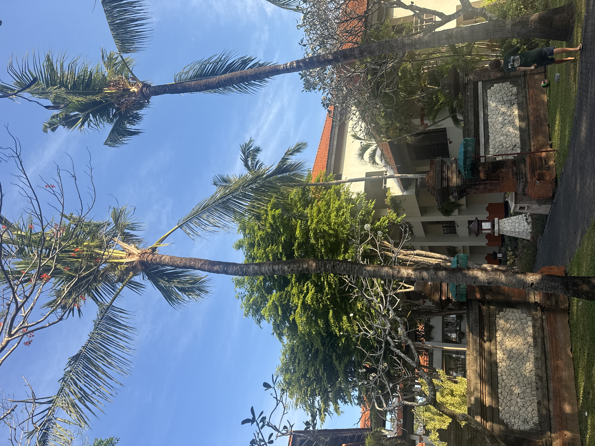 The image depicts a tropical resort in Kuta Selatan, Indonesia, bathed in bright daylight. Two tall palm trees dominate the foreground, their fronds reaching towards a clear blue sky with wispy clouds. Behind the trees, a multi-story building with terracotta-tiled roofs is visible, suggesting accommodation. The building is partially obscured by lush green foliage and trees with bare branches, some adorned with small red flowers. A stone wall with decorative brickwork lines the edge of a pathway. In the lower right quadrant of the image, a young person wearing a dark green t-shirt and blue shorts is kicking a ball on a grassy area. The environment is serene and sunny, characteristic of a resort destination.