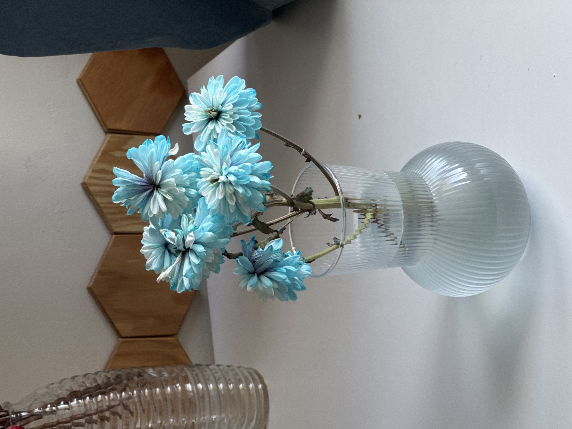 A close-up shot features a bouquet of bright blue chrysanthemums in a clear ribbed glass vase, placed on a white surface. The vase is partially filled with water. Behind the vase, a patterned background of wooden hexagonal tiles is visible on a light-colored wall. To the left of the vase, the ribbed texture of another glass object is partially visible. The scene appears to be an indoor setting, possibly a home or office, given the decorative elements. The lighting suggests a natural light source from the right, casting soft shadows. There are no people or animals present in the image. The location in Izhevsk, Russia, cannot be determined from the visual information provided.