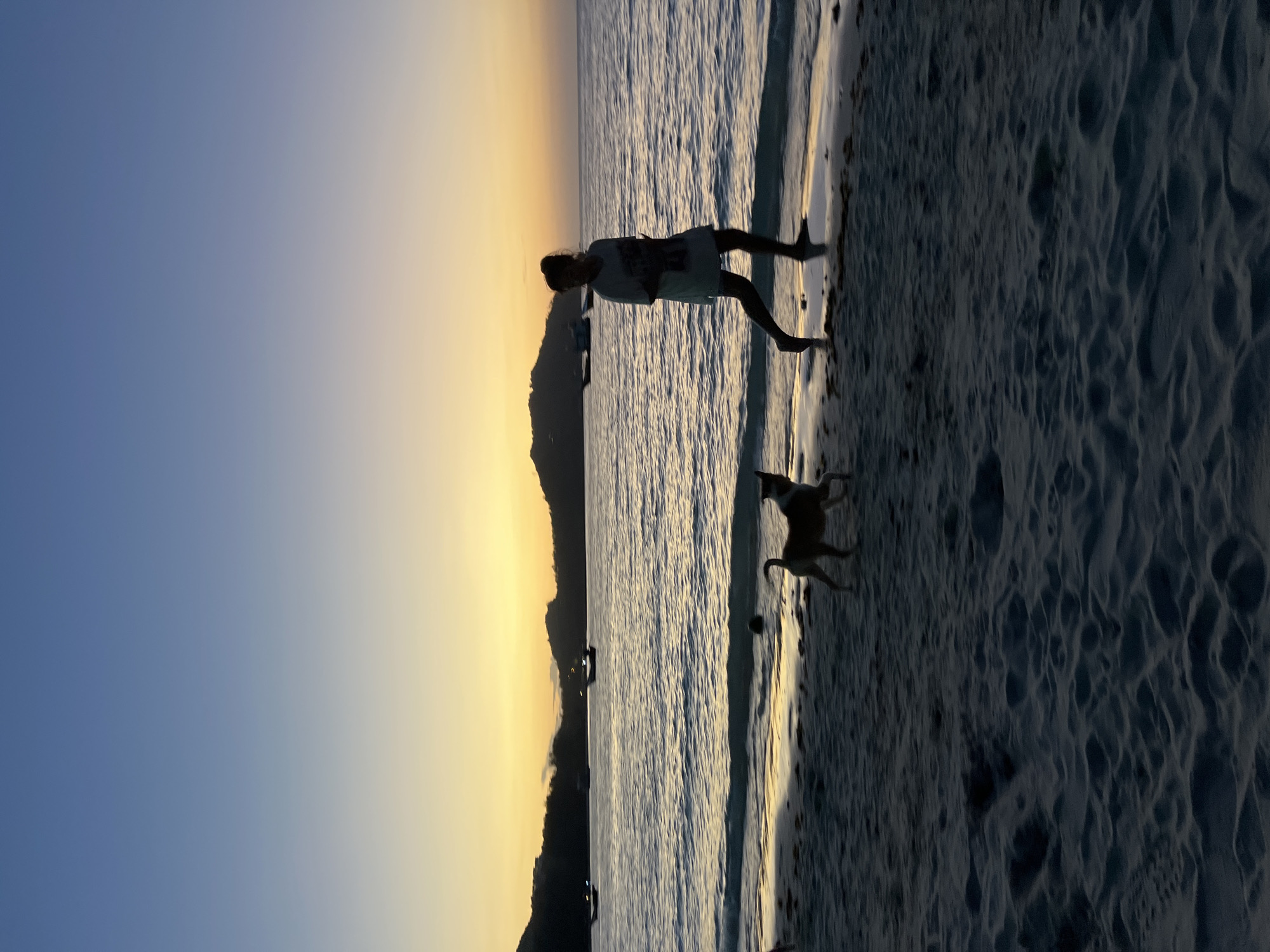 The image depicts a serene beach scene at dusk on Ko Pha-ngan District, Thailand. The sky transitions from a deep blue at the top to a warm orange-yellow horizon. A silhouette of a woman, dressed in a loose t-shirt and shorts, is captured in mid-stride, jogging along the wet sand at the water's edge. Her hair is tied up in a bun. Beside her, a dog, silhouetted against the water, runs in the same direction. The calm sea reflects the colors of the sunset, with gentle waves lapping at the shore. In the distance, the dark silhouettes of islands or hills frame the horizon, with several small boats anchored offshore. The foreground is dominated by the textured sand of the beach, showing the imprint of footprints and uneven surfaces. The overall impression is one of tranquility and a peaceful evening activity.