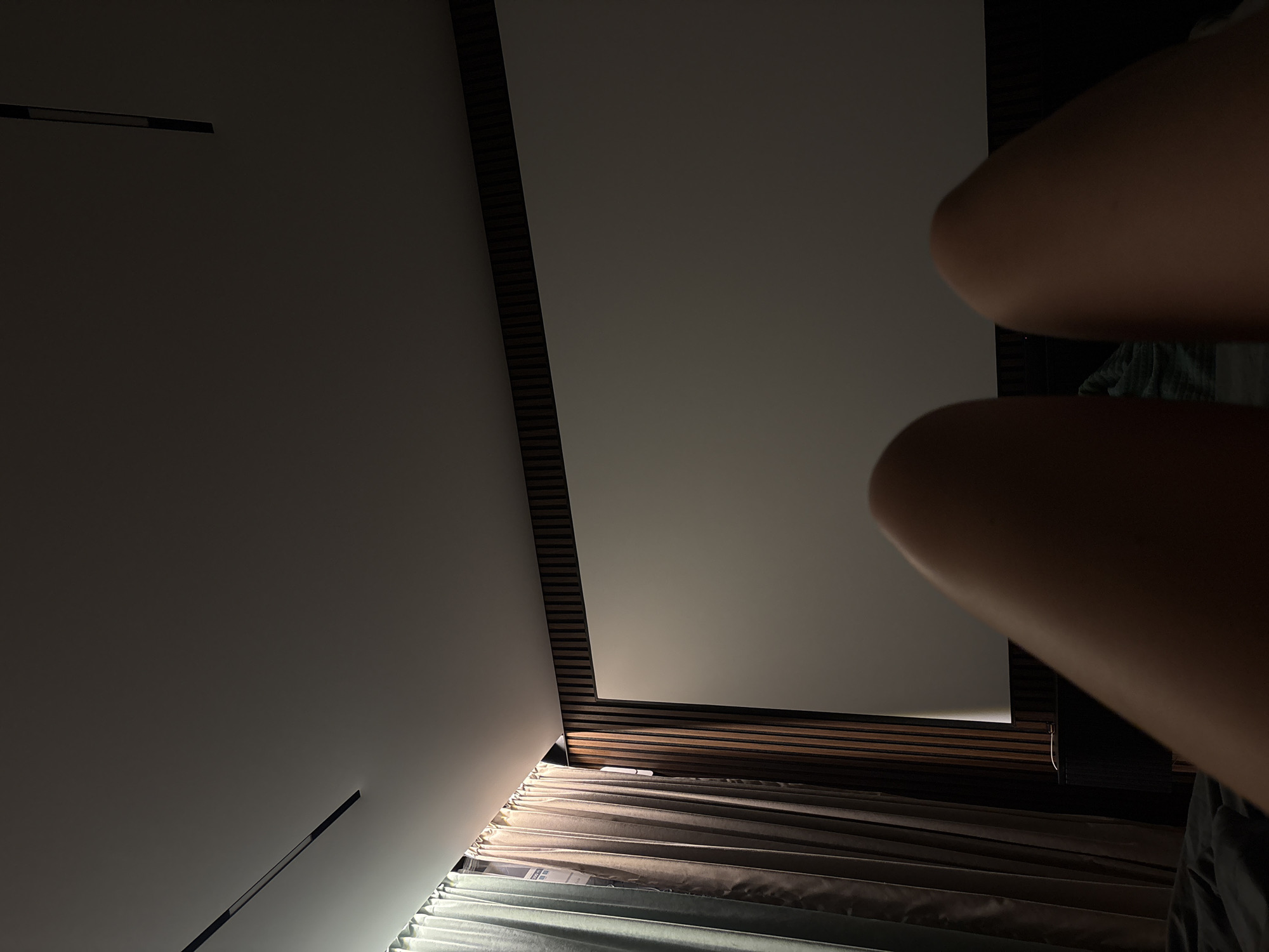 The image depicts a low-angle, interior shot from a dark room. In the foreground, two bare legs are visible, suggesting a person is lying down. The legs are positioned at an angle, with the left leg closer to the viewer and slightly out of focus, and the right leg more centrally located and in sharper focus.
The background features a large, white projection screen dominating the upper half of the frame. To the left of the screen, floor-to-ceiling curtains are drawn, appearing to be made of a light-colored, possibly sheer fabric. Behind the curtains, a dark vertical element is visible, possibly a window frame or wall. The wall directly to the right of the projection screen is clad in dark, vertical wooden slats. Above the screen and slats, a portion of a dark, textured ceiling is visible, with a thin, dark linear light fixture running across it from left to right.
The lighting in the room is dim, with the main light source seemingly emanating from the projection screen itself, casting a soft glow on the surroundings. A black bedside table with a dark lamp is partially visible on the left side of the frame, between the curtains and the wall.
The image does not provide any explicit visual cues to determine the specific location within the city of Mikhaylovsk, Russia.