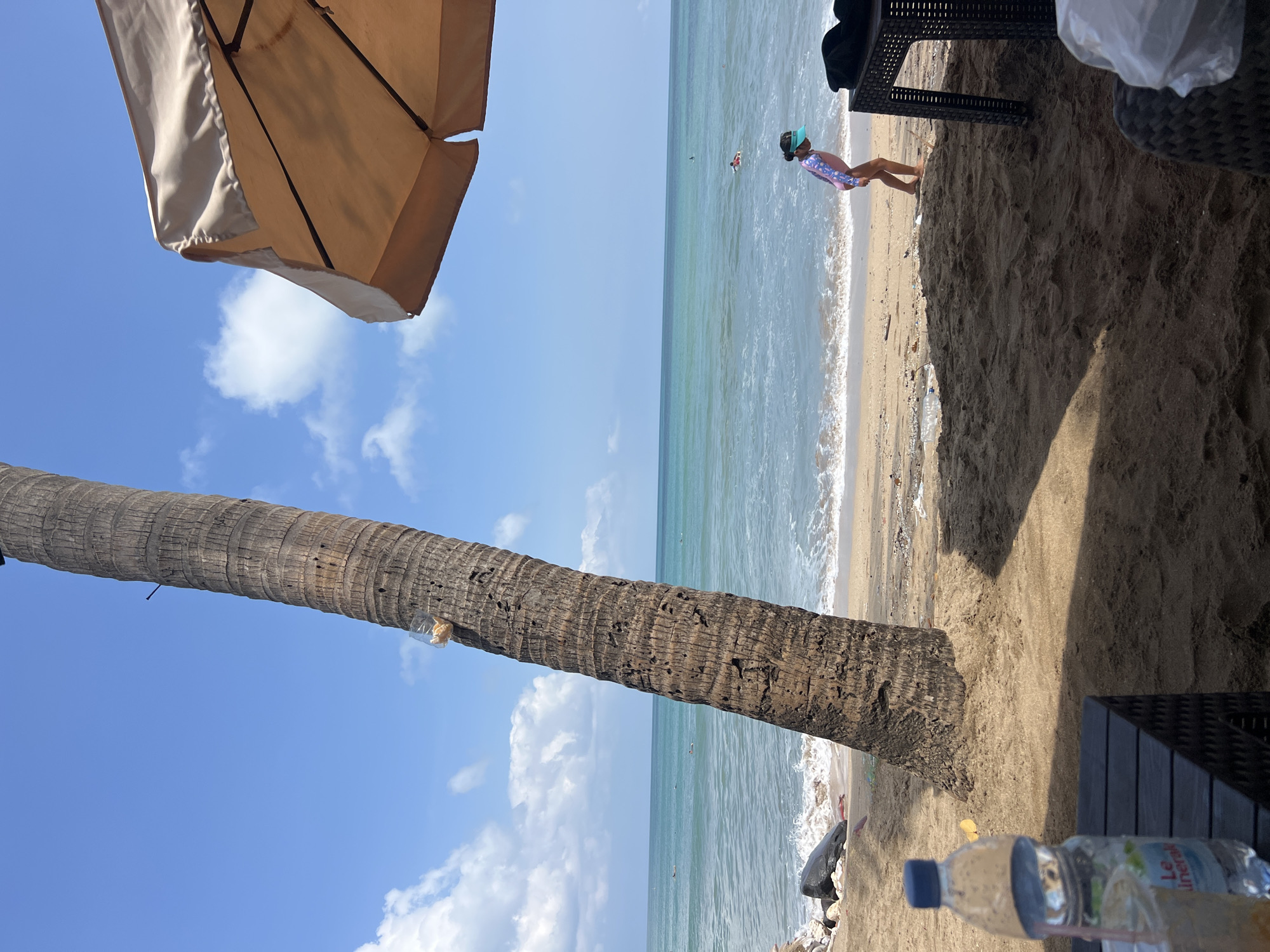 This is a beach scene in Kuta, Indonesia, on a sunny day with a clear blue sky and scattered clouds. A large palm tree dominates the left side of the frame, its rough bark textured and leaning towards the right. A small clear plastic bag, containing some light-colored crumbs, is attached to the trunk of the palm tree. In the middle ground, the ocean stretches out, with gentle waves breaking on the sandy shore. Several people are visible in the water, some swimming and one person appears to be sitting on a flotation device.
On the sandy beach, a young girl wearing a swimsuit and a blue visor is walking towards the right side of the image. She is in the mid-ground. Underneath a large, beige beach umbrella in the upper right corner, a black outdoor table with a woven texture is visible, with a black cloth draped over it. In the foreground, to the left, a partially visible bottle of water, labeled "Le Mineral," sits on a dark, textured surface, possibly another piece of furniture. The sand is a light brown, with scattered debris along the shoreline, including small rocks and pieces of plastic. The overall impression is a relaxed beach environment, possibly a resort area given the presence of the umbrella and table.