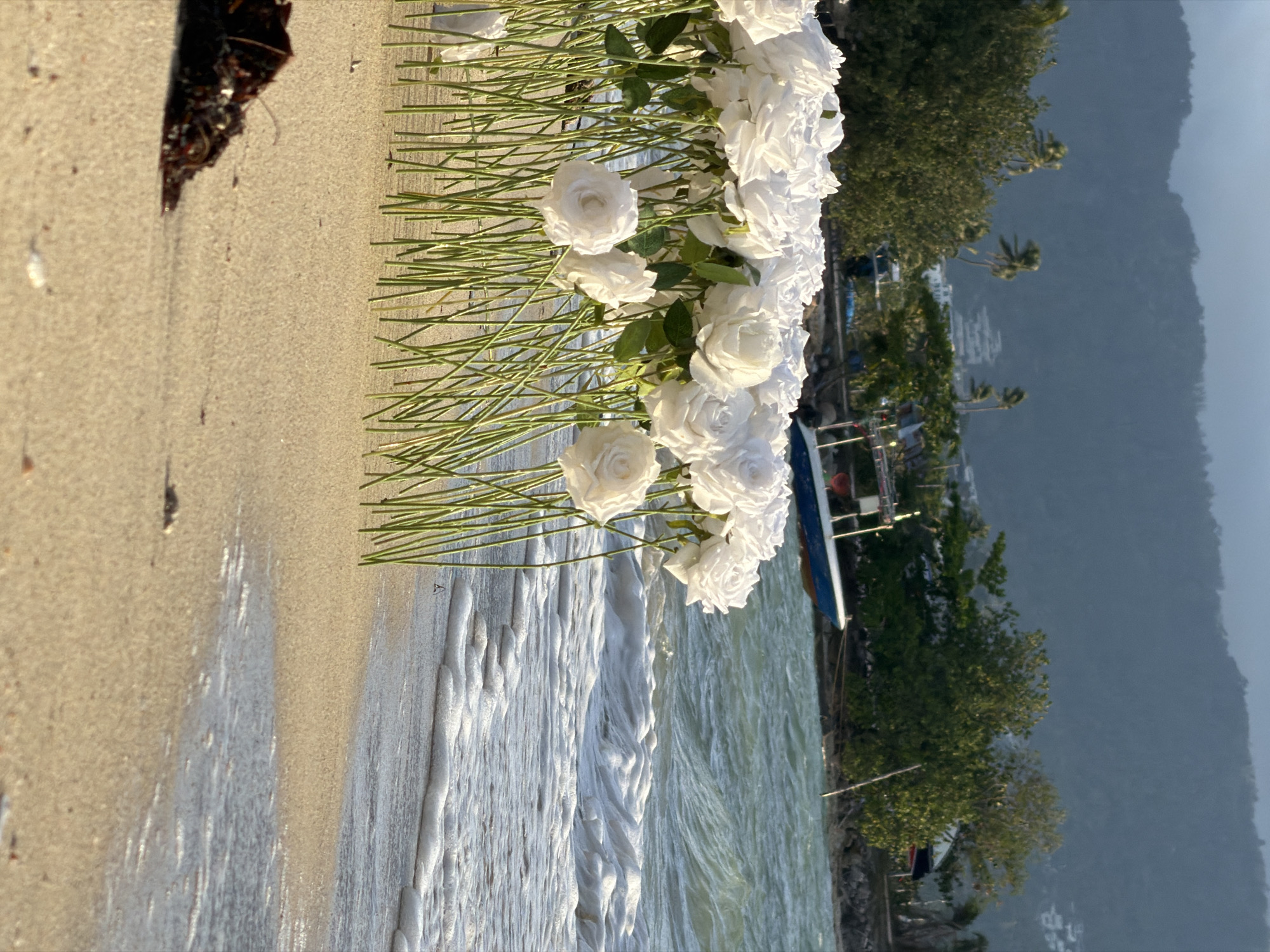 A close-up, low-angle shot depicts a sandy beach in Ko Samui District, Thailand, with the ocean in the background. The foreground is dominated by a dense arrangement of artificial white roses with green stems, planted closely together on the sand. Some of the rose stems reach the water's edge, where small waves with white foam are lapping onto the shore. In the mid-ground, beyond the roses, a blue and white boat is moored in the choppy, turquoise water. The background features a lush, green hillside with scattered buildings and trees, shrouded in a soft, hazy light, suggesting overcast conditions or early morning/late afternoon. A piece of dark seaweed is visible in the lower left corner of the frame. There are no people or animals visible in the image.
