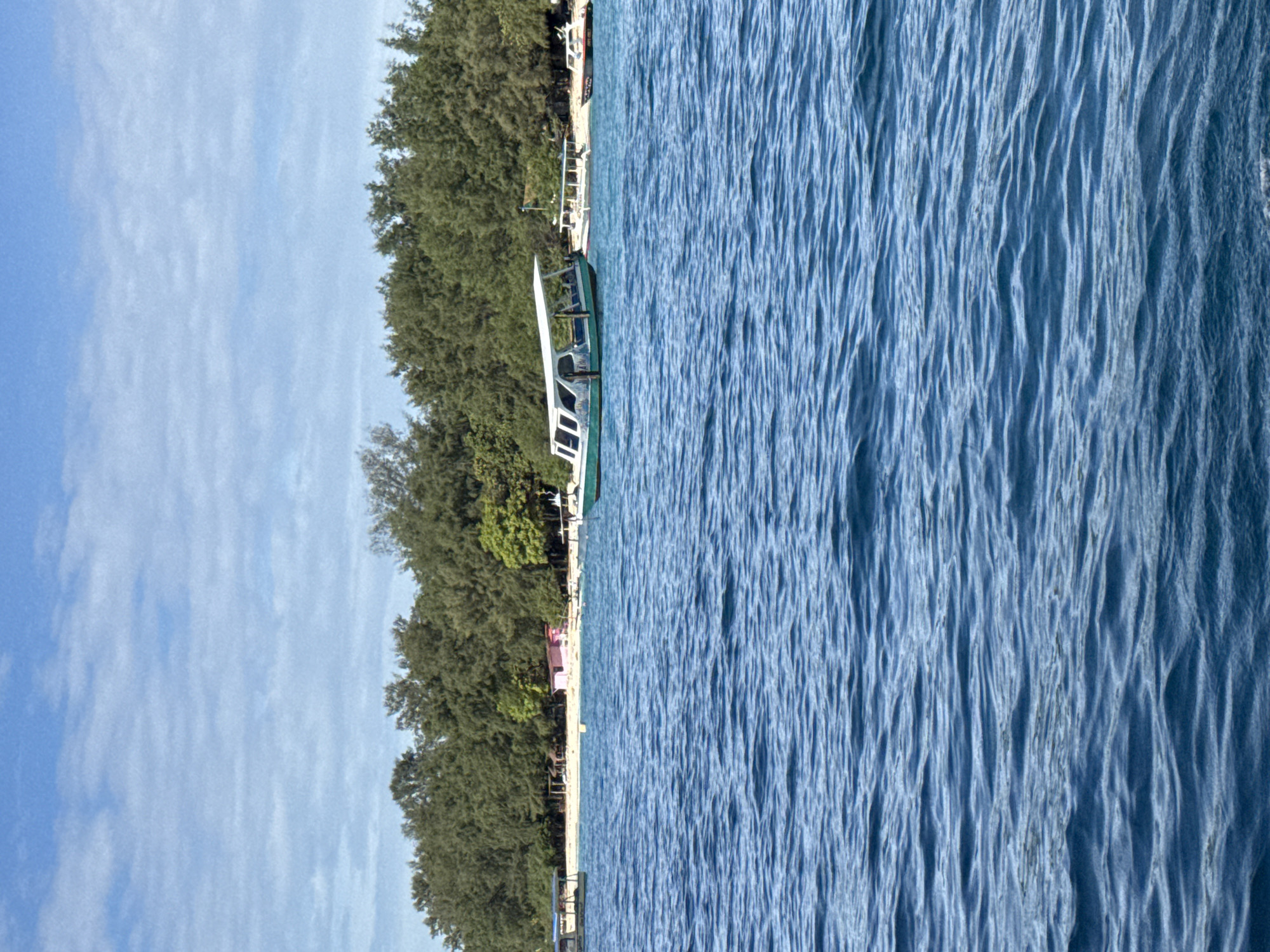 The image depicts a tranquil coastal scene, appearing to be rotated 90 degrees clockwise from its natural landscape orientation. When viewed correctly, a bright blue sky with sparse, wispy white clouds occupies the upper portion. Below the sky, a thin strip of sandy beach stretches horizontally, bordered by a dense line of green, evergreen-like trees on the left. The water, a vibrant blue with distinct, elongated ripples and small waves, fills the right half of the frame.
Several boats are visible along the coastline. In the mid-ground, a white boat with green trim is prominent, seemingly moored near the shore. Further along the beach, other smaller boats, less distinct in detail, are also present. The scene suggests a calm environment with no significant activity taking place. The clear sky and bright lighting indicate it is daytime, likely midday or early afternoon, with good weather. There are no people visible in the image, nor is there any discernible text. The lush coastal trees and traditional small boats are consistent with a tropical island setting, in line with the location context of Indonesia.