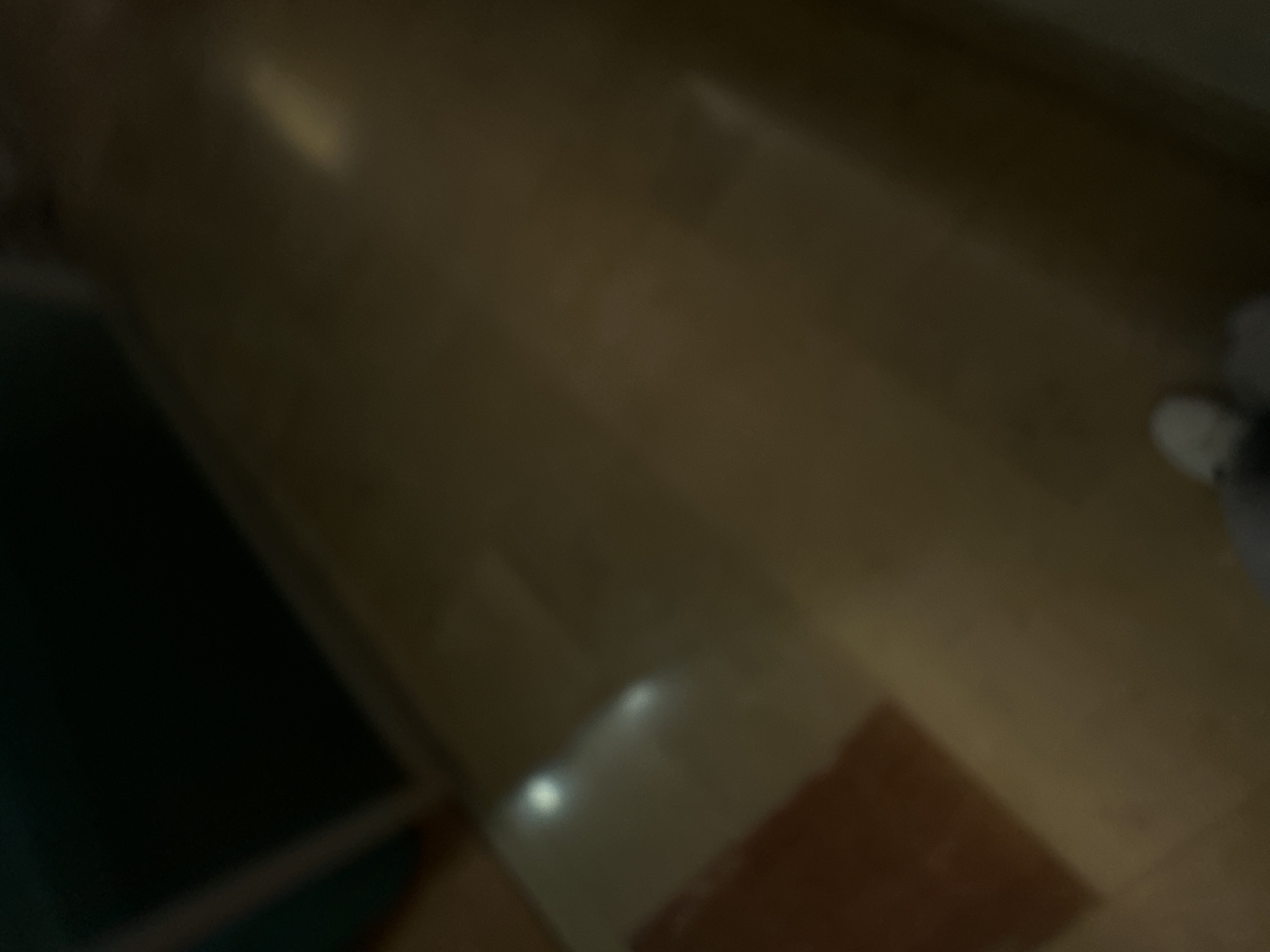 The image presents a highly blurry and dimly lit interior scene, primarily focused on a floor. The dominant colors are shades of dark brown, tan, and reddish-brown. The floor appears to be composed of either wood planks or large tiles, exhibiting subtle variations in tone and texture.
On the left side of the frame, there is a large, dark rectangular area, possibly a mat or a section of darker flooring, separated from the lighter floor by a diagonal line. Towards the bottom right, a distinct reddish-brown rectangular shape is visible, suggesting another type of floor tile or a patterned rug.
Several bright, blurry white reflections are scattered across the floor, particularly in the central and upper-central portions, indicating the presence of light sources and a somewhat reflective surface.
In the far right of the image, a blurry white and grey shape can be seen, which strongly resembles a human foot wearing a white sneaker or shoe, with what appears to be a grey sock or pant leg. No other individuals or significant objects are clearly discernible.
The overall darkness and blurriness suggest low-light conditions, possibly indoors during the evening or in an area with subdued artificial lighting. There is no visible text in the image.