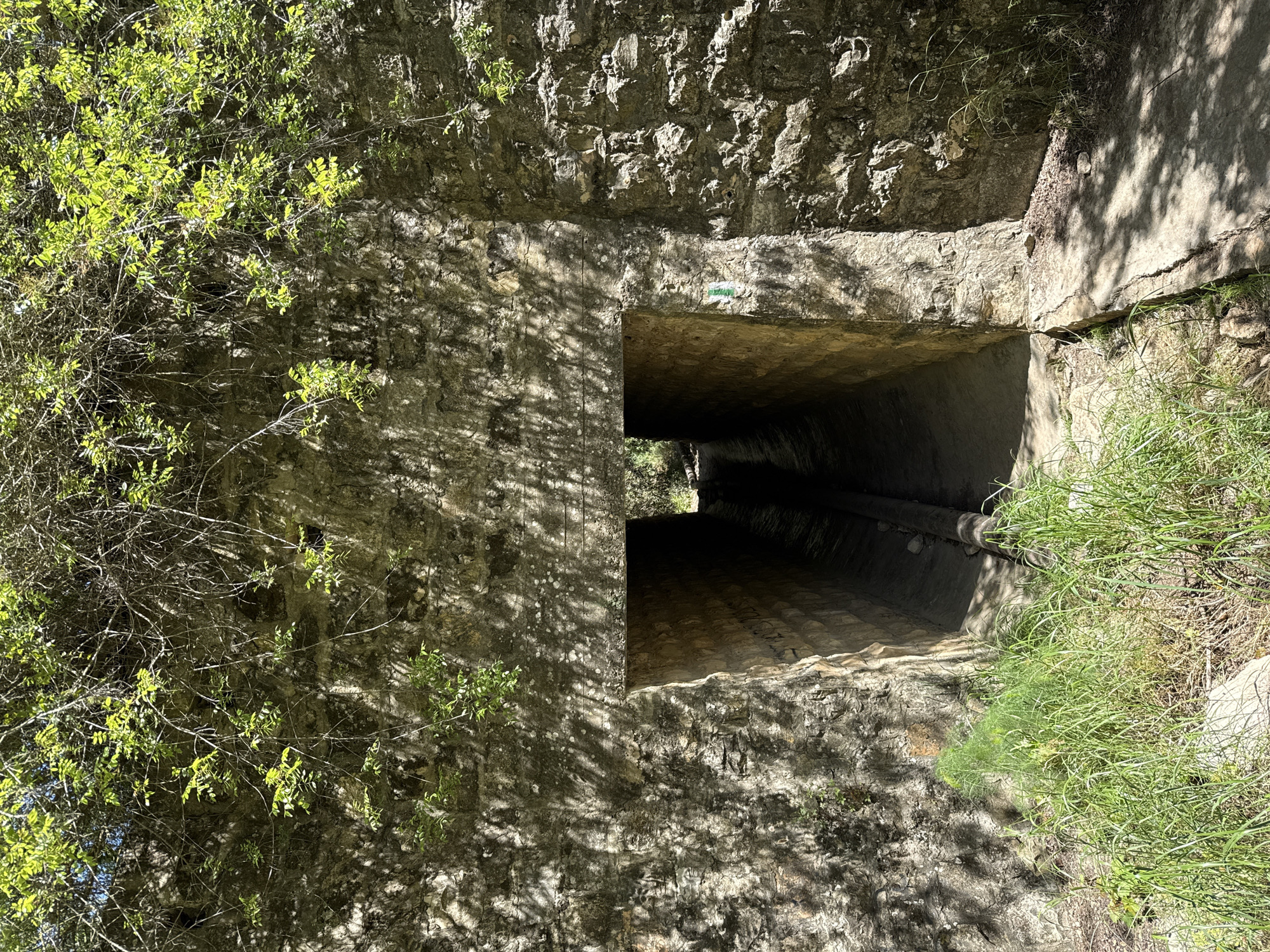 The image displays the entrance to a dark tunnel or culvert, set within a rocky, natural environment. The tunnel appears to be constructed from rough-hewn stone or concrete, leading into a dark, receding passage with a visible pipe running along its ceiling or upper wall inside.
The area immediately surrounding the tunnel entrance is composed of sturdy stone walls. On the left side, dense green foliage, resembling bushes or trees with small leaves, grows abundantly, casting dappled shadows onto the stone surface. On the right side, tall green grass thrives, illuminated by direct sunlight, with some sunlight also catching the edge of the tunnel's opening.
Bright sunlight indicates it is daytime, casting clear, distinct shadows from the foliage onto the stone walls, suggesting a sunny and clear weather condition. A notable detail is a small, rectangular trail marker affixed to the stone wall just above the tunnel entrance. The marker is green with a white symbol, possibly an arrow or a line, indicating a path or direction, though specific text or symbols are not clearly discernible beyond the colors.
The scene depicts a natural landscape interspersed with a man-made structure, typical of a rural or semi-wild setting in the Mate Yehuda Regional Council, Israel. There are no people or specific activities taking place, presenting a serene and untouched view of the environment.