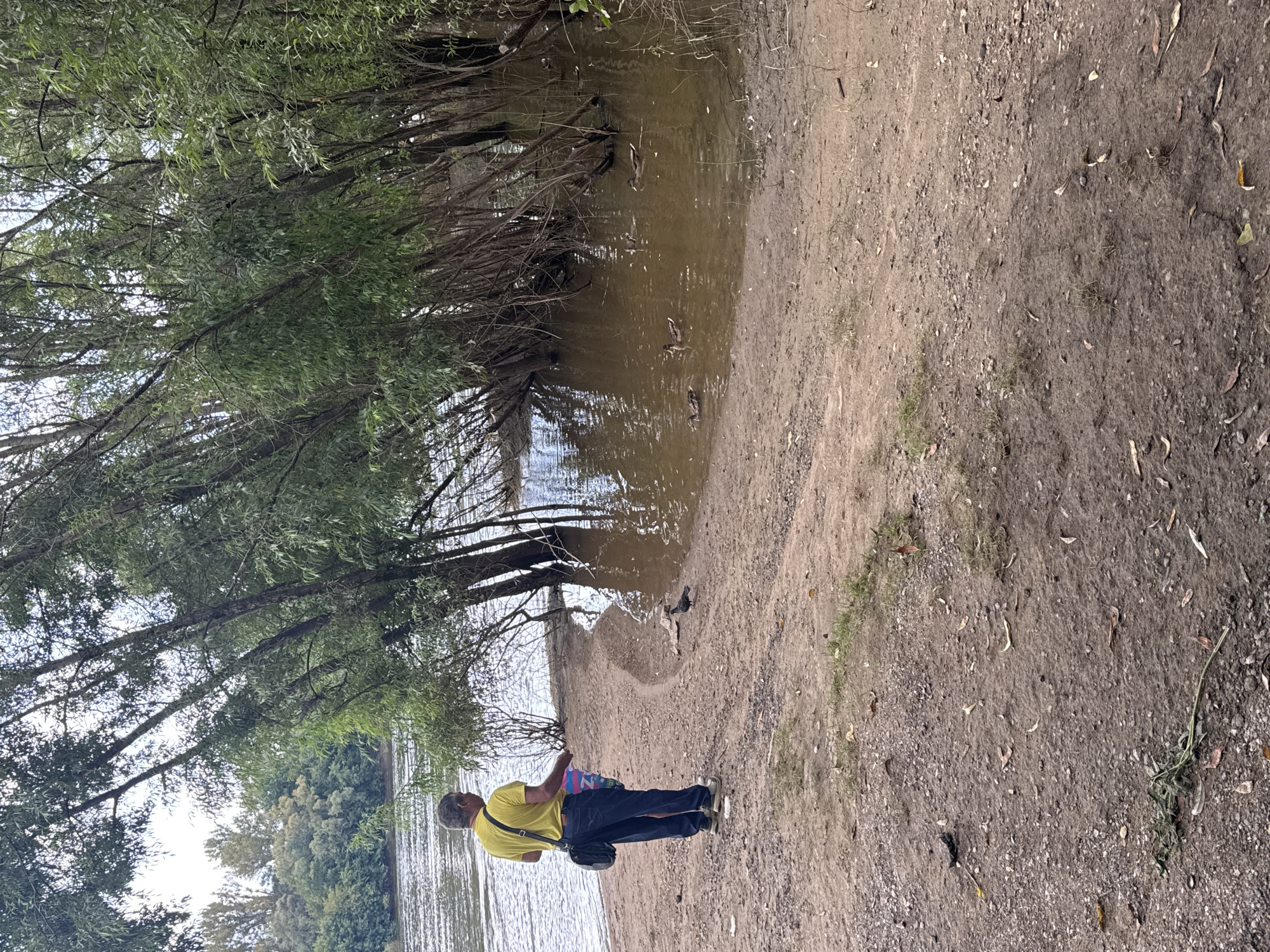 A full shot shows a man in a yellow t-shirt and blue jeans standing on a dirt bank, facing a body of water lined with trees. The man has short gray hair and a black bag slung over his shoulder. He is holding something in his right hand, and a few ducks are visible in the water nearby. A single bird stands on the dirt bank to the right of the man. The water appears murky and is backed by a dense line of trees. The ground is a mix of dirt and gravel, with scattered leaves and a few blades of grass. The overall scene suggests a natural setting, possibly a riverbank or lake. No specific landmarks within Ufa, Russia are discernible in the image.