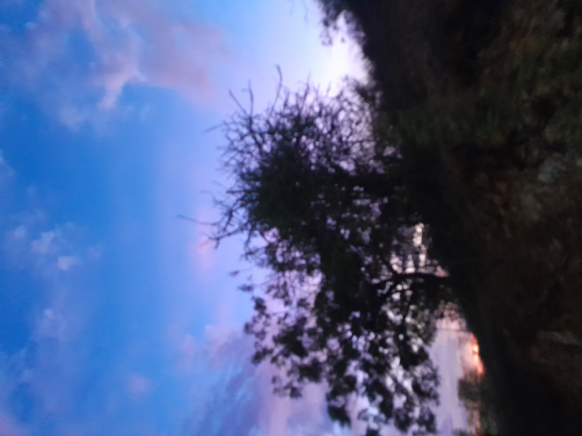 The image depicts a silhouette of trees against a dusky sky. The sky is a gradient of deep blue at the top, transitioning to lighter shades of blue and purple, with hints of pink from the setting sun. A few scattered clouds are visible. The foreground is dominated by the dark silhouettes of trees and vegetation, which appear somewhat out of focus. The terrain beneath the trees is also dark and indistinct, suggesting a natural or undeveloped area. The overall impression is of a twilight scene in a natural setting. The location in Santa Ana, Venezuela is not discernible from the visual information provided in the image.