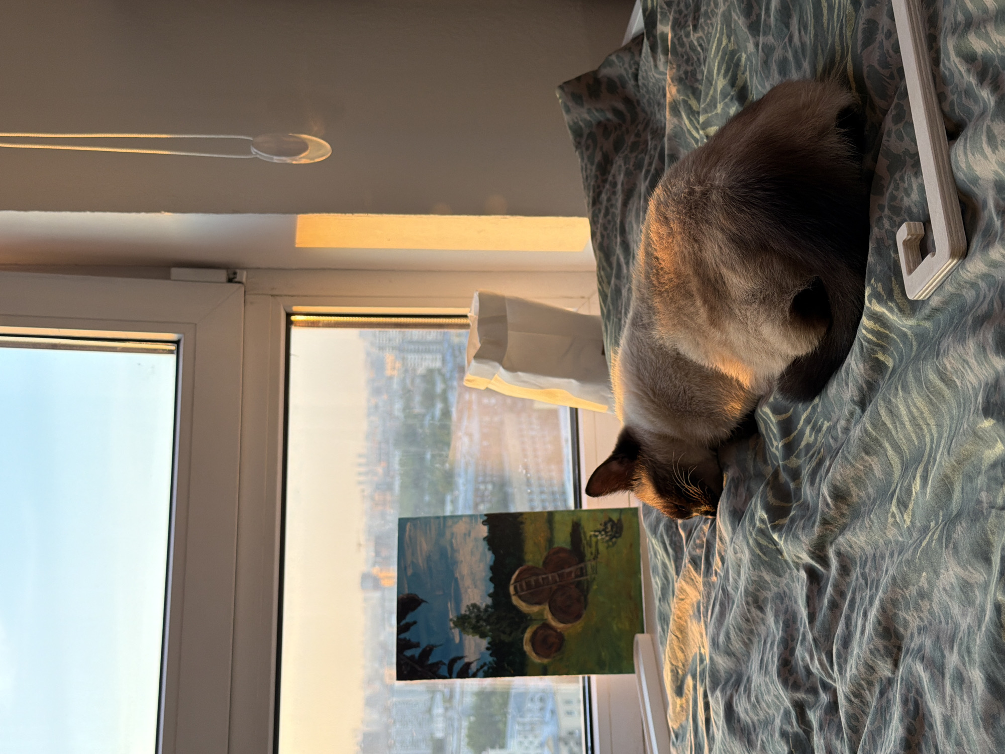 A close-up shot, slightly rotated, depicts a Siamese cat resting on a blue-grey patterned blanket on what seems to be a window ledge. The window is open, revealing a cityscape bathed in the golden light of either sunrise or sunset. A painting, depicting hay bales and trees, leans against the window. A white hanger is positioned near the cat. The city is identified as Unknown, Unknown.