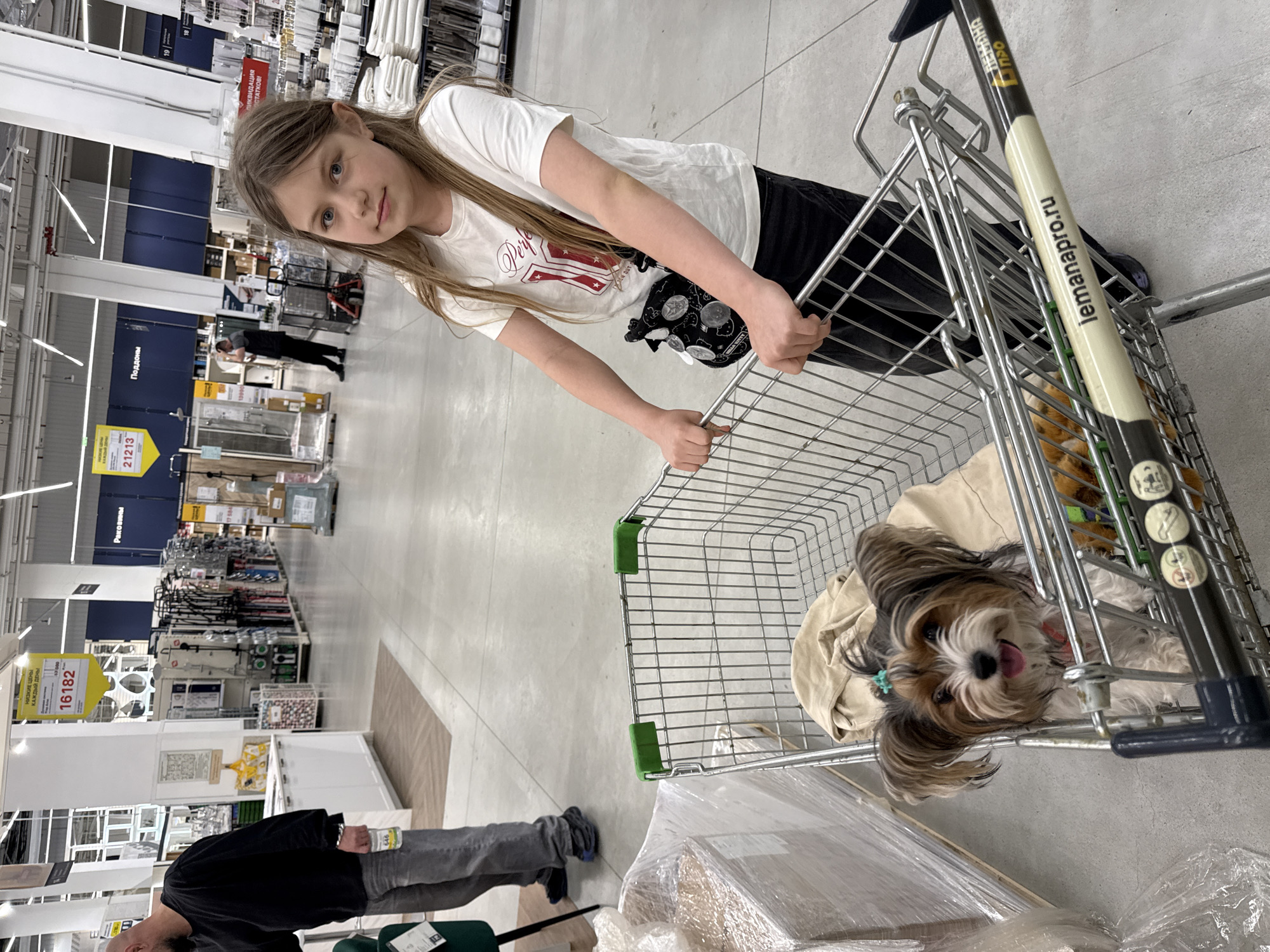 A girl pushes a shopping cart at a store; a small dog sits in the cart. The girl wears a white t-shirt, black pants, and a black belt bag. The dog is brown and white with a bow in its hair, lying on top of a beige coat or blanket. The shopping cart is in a retail environment. The sign on the shopping cart reads "lemanapro.ru" and signs in the background are in Russian. Signs in the background contain the OCR text "НИЗКИЕ ЦЕНЫ", "КАЖДЫЙ ДЕНЫ", "16182", "Раковины", "21213", "Поддоны", "Perfe", and "ПИКВИДАЦИЯ ОСТАТКОВ!". Based on the language and website on the cart, the location is likely Moscow, Russia.
