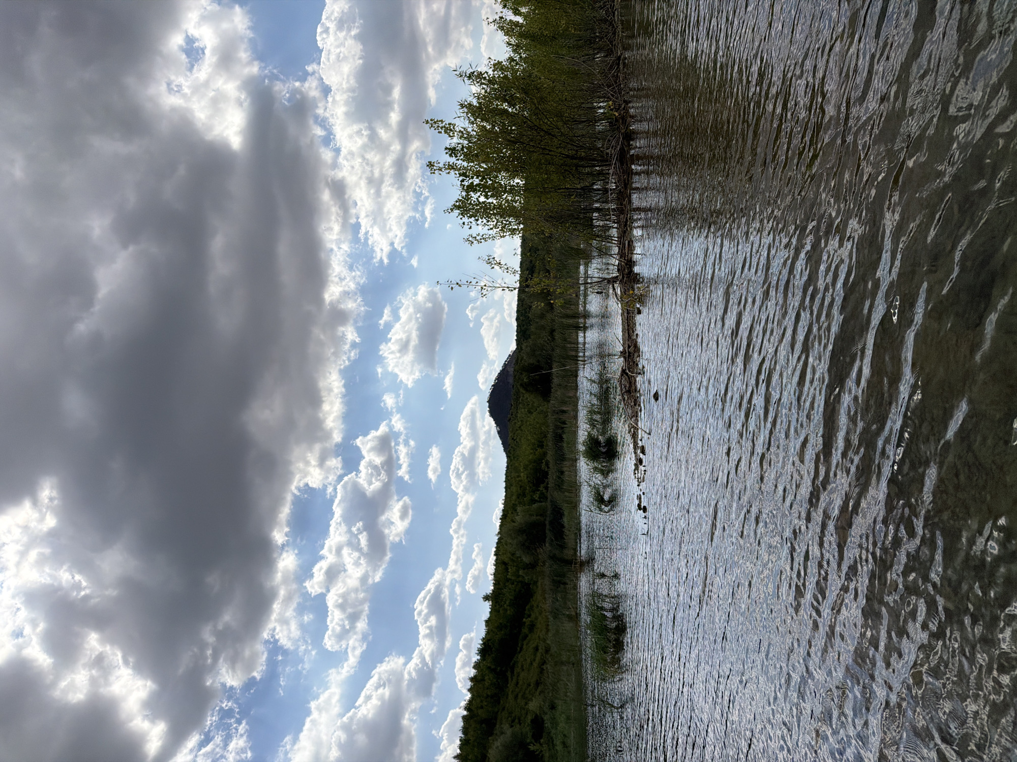 A wide-angle shot captures a serene body of water with ripples reflecting the sky and surrounding vegetation. The foreground is dominated by the textured surface of the water, which appears somewhat shallow with visible rocks and debris near the bottom. In the mid-ground, a dense cluster of green reeds and tall, leafy bushes emerges from the water, creating a small island-like formation. Beyond this, a line of trees and lush, green hills recede into the distance, with a dark, conical hill visible on the far right. The sky above is a dramatic mix of dark, heavy clouds interspersed with patches of bright blue and white cumulus clouds, with sunlight breaking through in several areas. The scene evokes a natural, untouched landscape, likely a lake or river, with no human presence or man-made structures apparent. The overall impression is one of natural beauty and tranquility under a dynamic sky.