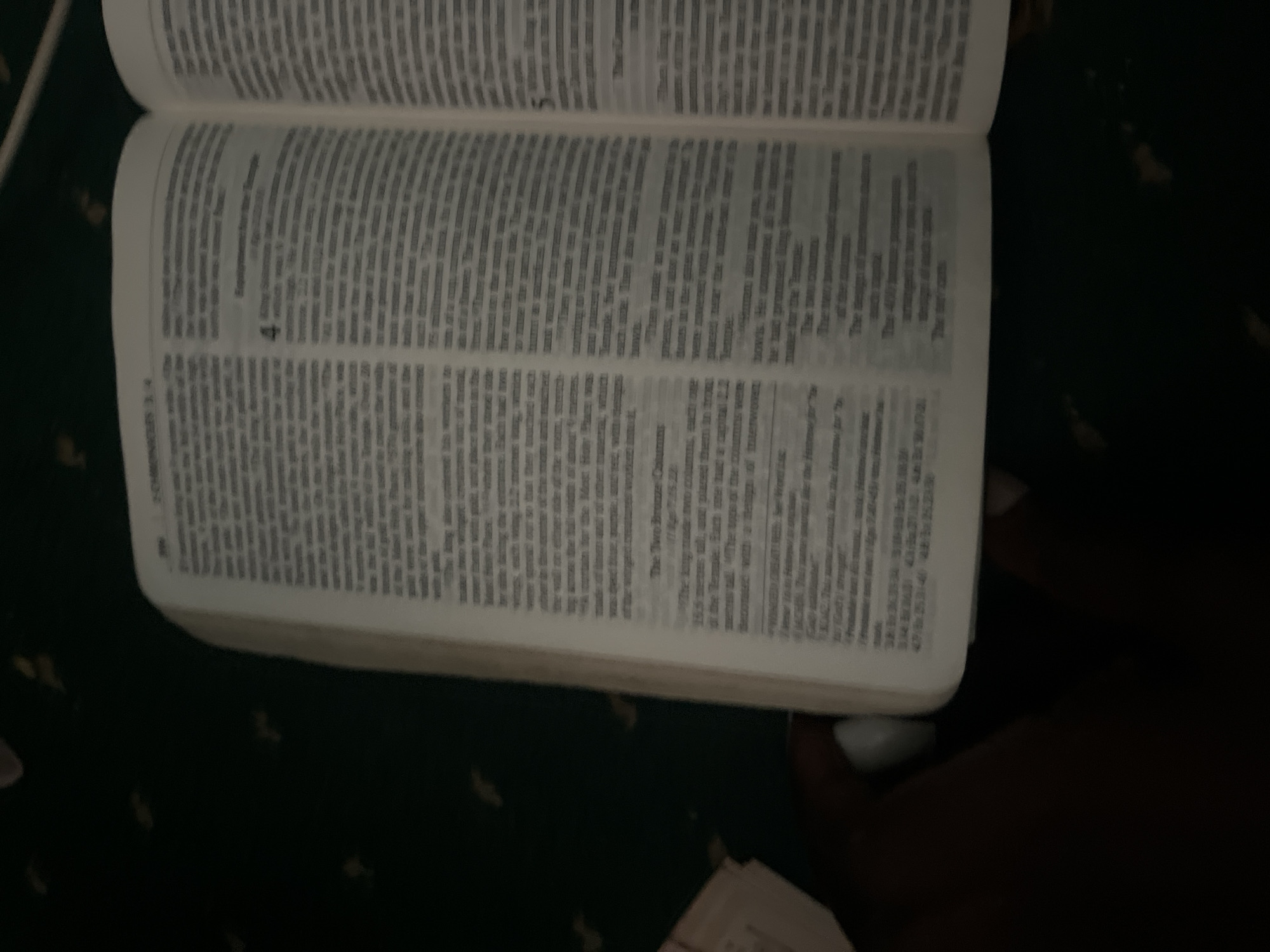 An open book, likely a bible, is resting on a dark, patterned surface, possibly a carpet. The book is open to pages with printed text in two columns. The lighting is dim, and the image is slightly blurry, making it difficult to discern specific details of the text. A person's hand with a white-painted fingernail is visible on the left side of the image, resting on or near the book. The environment appears to be indoors, with the dark background suggesting a room with low lighting. There is no information available to determine the location in the city of Jauro Yinu, Nigeria.