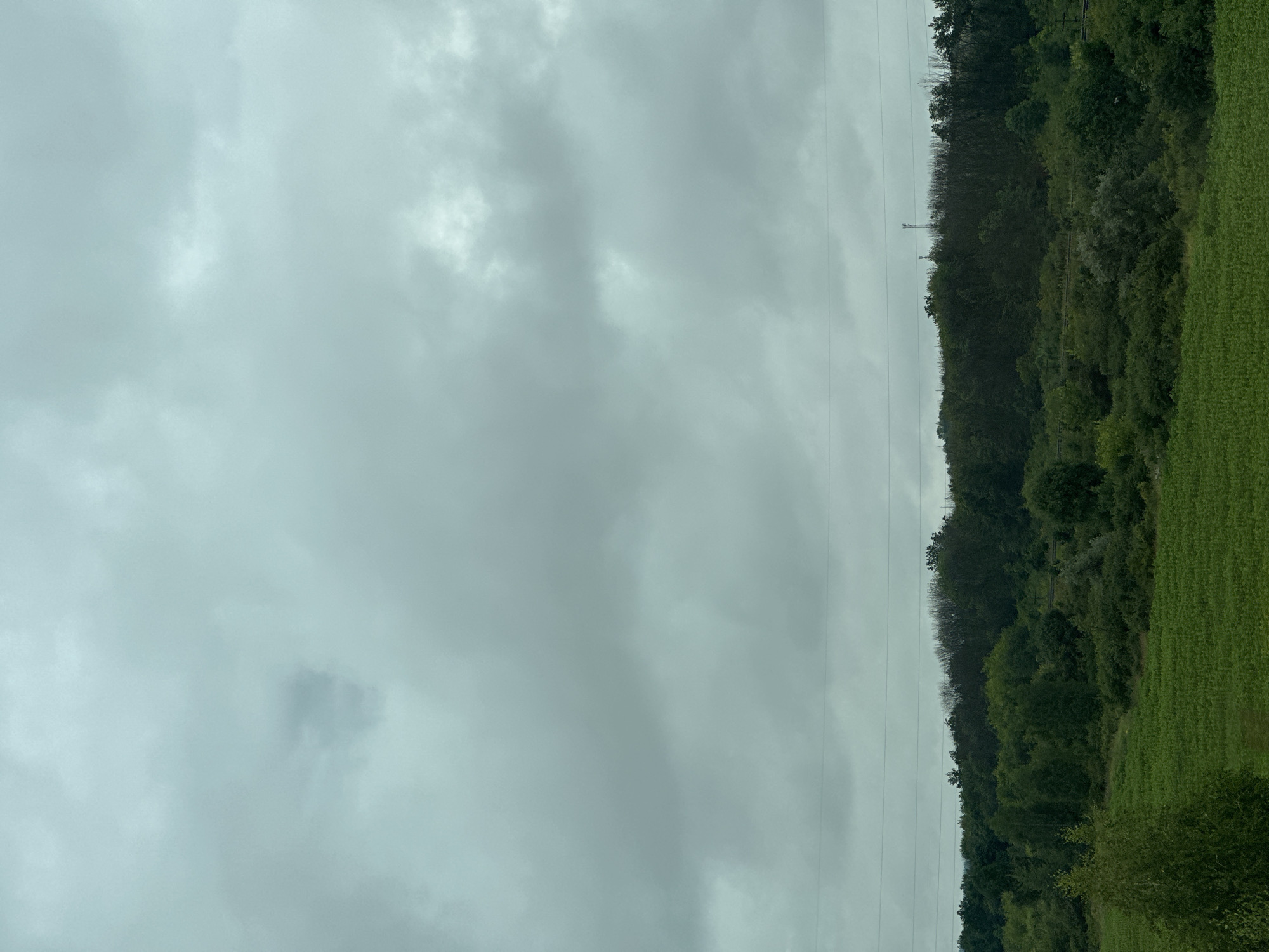 The image depicts an overcast sky over a rural landscape. In the foreground, a dense, green field stretches across the lower portion of the frame. Behind this field, a line of various trees and foliage creates a natural border. Power lines are visible in the distance, strung horizontally across the scene. The overall impression is of a cloudy, serene natural environment. The location is identified as Rep'evka, Russia. There are no people, animals, or specific objects of note other than the natural elements and infrastructure.