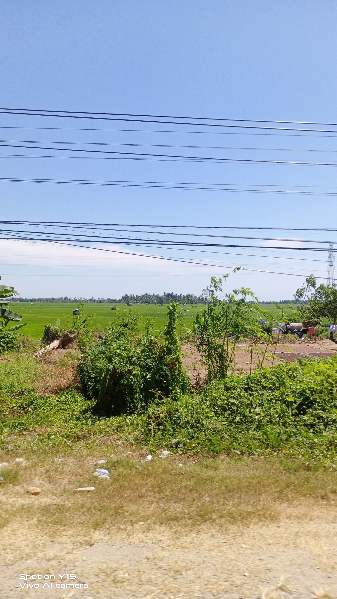 The image depicts a rural landscape under a clear blue sky, featuring agricultural fields and vegetation. The scene is dominated by a vast expanse of vibrant green rice paddies, dotted with small, traditional huts that suggest human habitation and agricultural activity. In the foreground, dense green bushes and dry grass line a dirt path. Electrical wires are strung across the sky, indicating the presence of infrastructure. To the right, a tall transmission tower can be seen, further confirming the presence of power lines. The overall impression is one of a tranquil, working agricultural community in a tropical or subtropical region. The location is identified as Kondarasi, Indonesia.