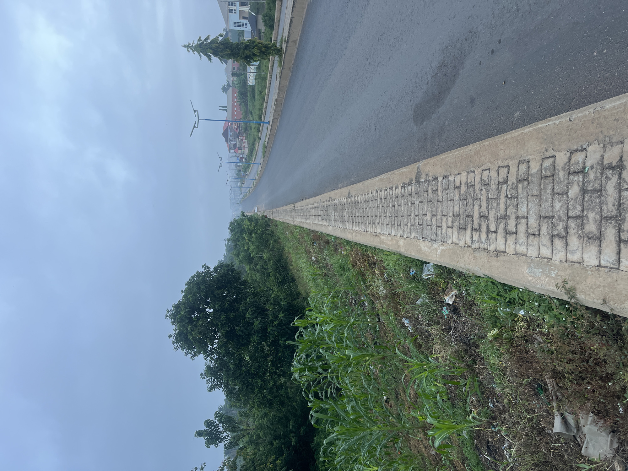 The image depicts a street scene in Offatedo, Nigeria on an overcast day. The road is asphalt, slightly damp, and stretches into the distance, lined with a concrete curb and a brick-patterned sidewalk on the right. Beyond the sidewalk, vegetation including grasses, small trees, and what appears to be corn are visible. Scattered litter is present in the vegetation near the sidewalk. Streetlights are spaced along the left side of the road. In the background are buildings, some residential. The sky is overcast and a dense mist hangs in the air. There are no people visible in the scene.