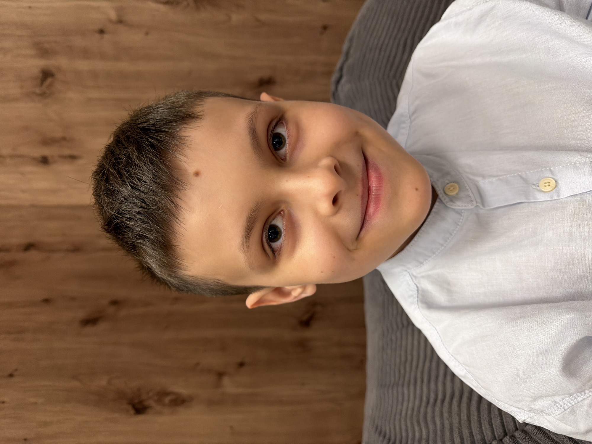 A young boy is positioned in front of a wood wall on what appears to be gray seating. He is wearing a light blue button-down shirt. His hair is short and dark, and he has brown eyes and a small mole on his forehead. He is smiling faintly. The scene takes place indoors. There is no identifiable information to place this picture within the city of Votkinsk, Russia.