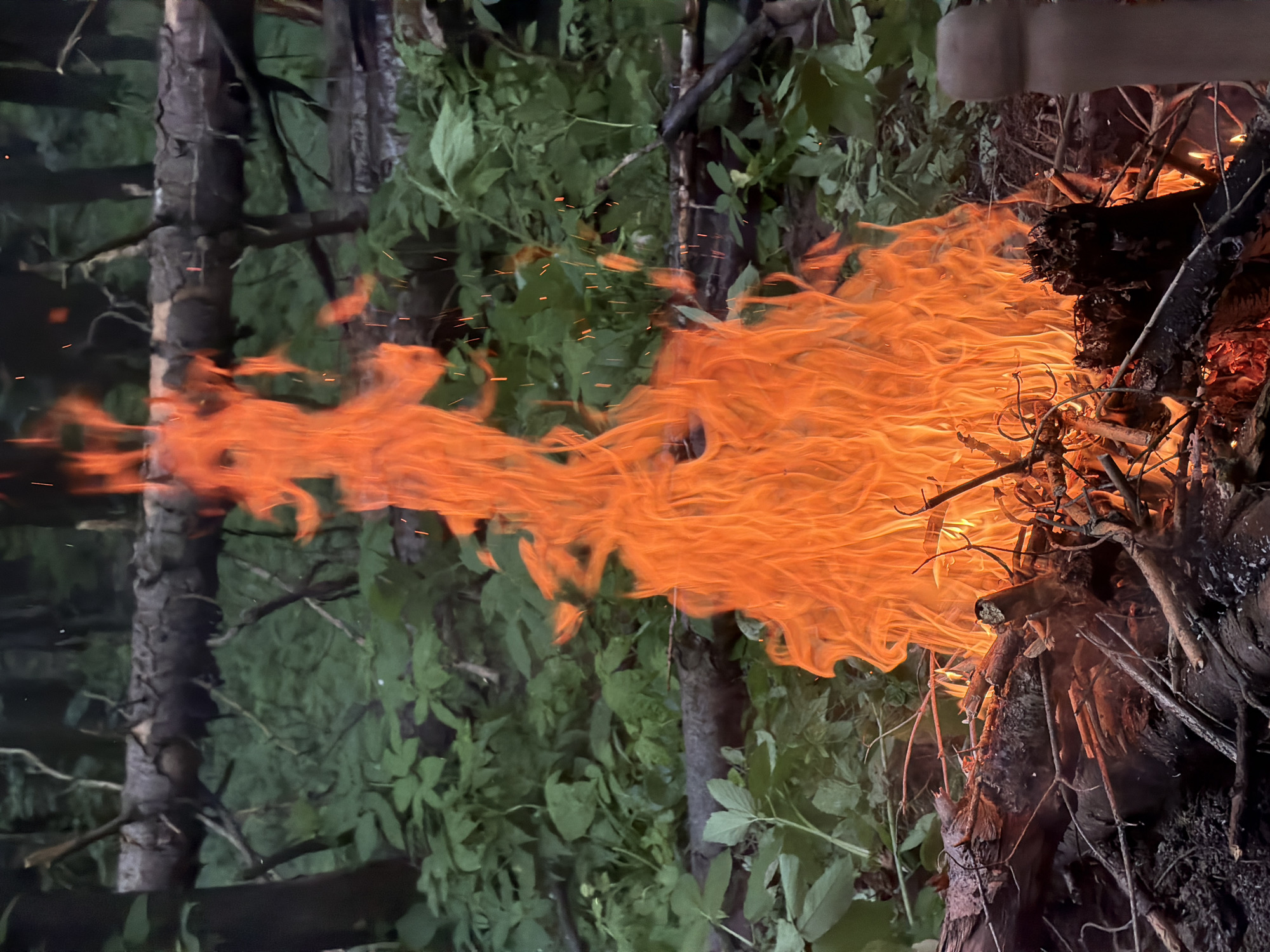 The scene is set in Kechur, Russia, depicting a large, active bonfire in a dense forested environment. Intense, dynamic flames, predominantly orange and yellow, rise vertically from a pile of burning logs and smaller branches. Numerous incandescent sparks and embers are visible ascending above and within the flames, particularly towards the upper right. The base of the fire consists of charred wood, ash, and unburnt kindling. In the background, dense green foliage and multiple tree trunks are dimly visible, suggesting low ambient light conditions. A significant fallen log, partially stripped of its bark, extends horizontally across the upper mid-ground. A blurry, brown, cylindrical object with a rounded top, whose identity is not discernible, occupies the far right foreground. No people are visible.