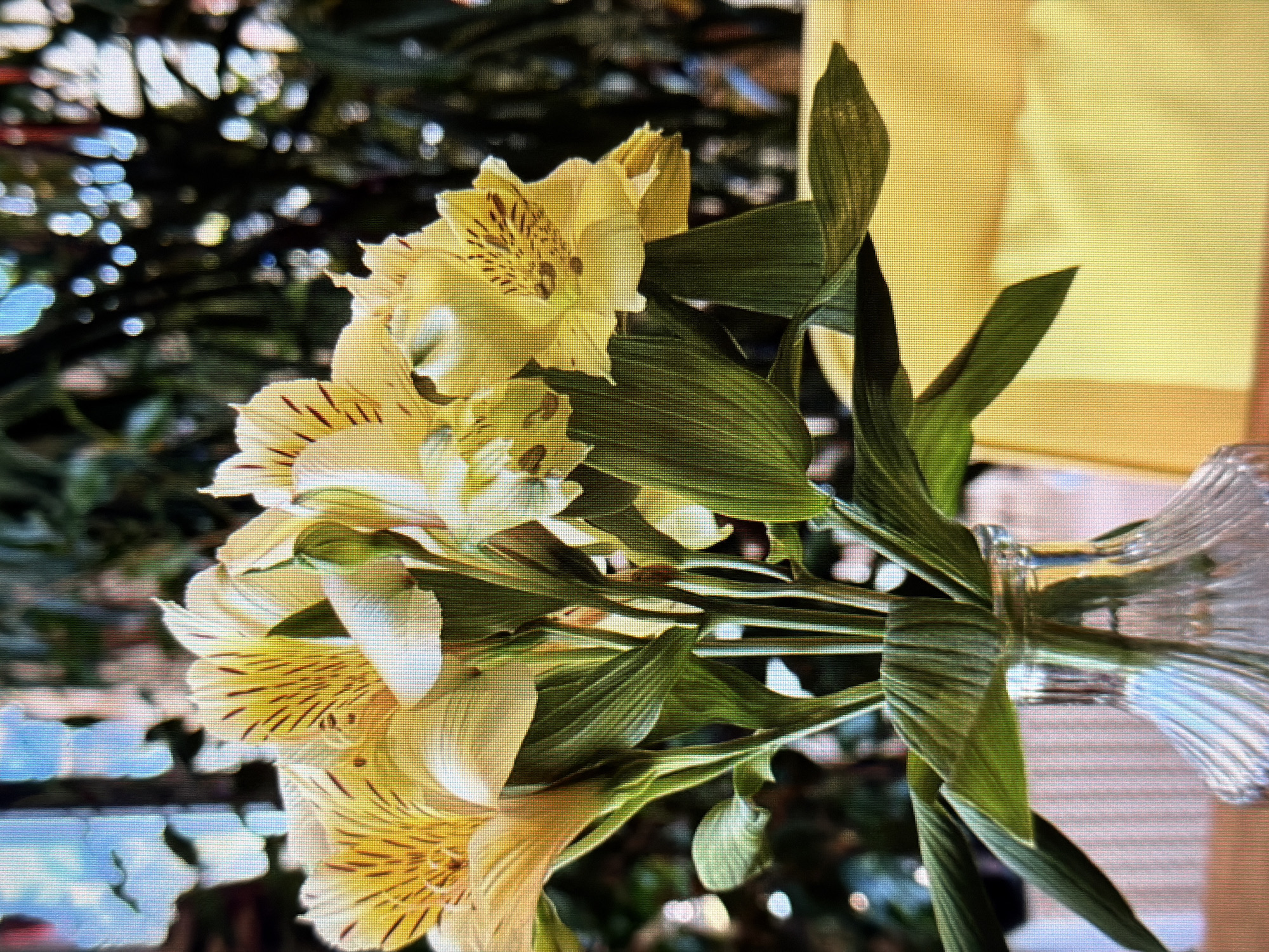 A bouquet of yellow alstroemeria flowers with dark red streaks on their petals sits in a clear glass vase on a wooden table. The vase has a ribbed design at the bottom. The background is blurred, showing greenery and what appears to be a window with light streaming through, suggesting an indoor setting. The overall scene is bright and slightly out of focus, with a strong emphasis on the flowers. There are no people visible in the image. The image does not provide any information or visual cues that would allow for determining a specific location within Sirius, Russia.