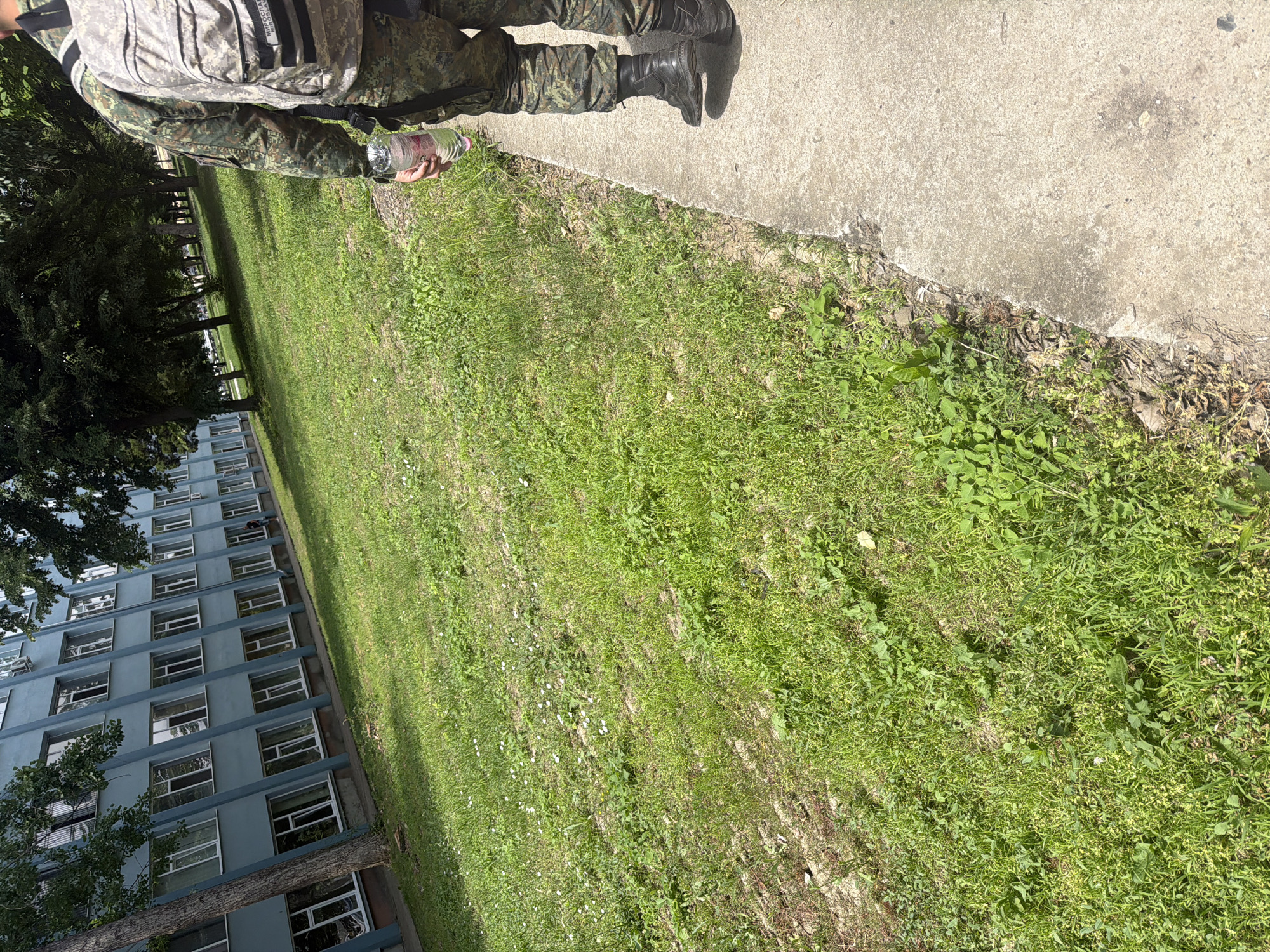 The image shows a person in military clothing standing on a sidewalk next to a grassy area. The person is holding a water bottle. In the background is a multi-story building. The location is identified as Dolna Mitropolia, Bulgaria.