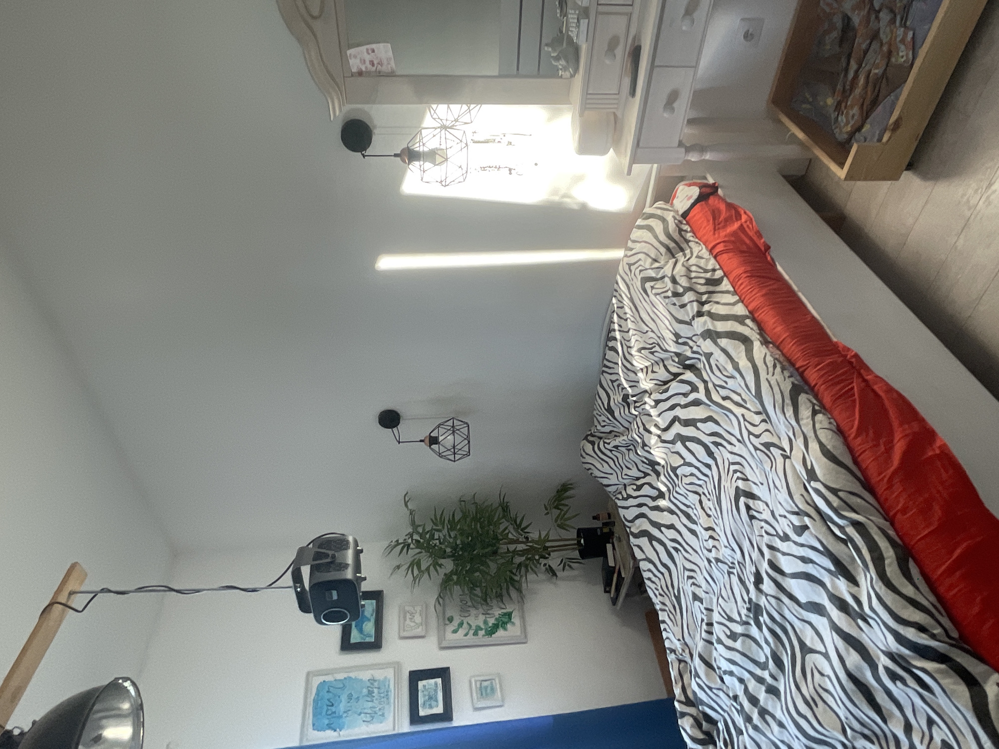 The image shows a bedroom with a ceiling fan, a bedside table, a bed with a zebra-patterned duvet and an orange comforter, and several framed pictures on the wall. There is also a plant in a pot and a wooden dog bed in the corner. The room appears to be brightly lit by natural light coming from a window. The camera is positioned at an angle, making it difficult to determine the exact orientation of the room. There is no visible activity or event taking place. The overall impression is of a cozy and lived-in bedroom. The location context of Мухавецкі сельскі Савет, Belarus is noted. There is no visible text in the image.