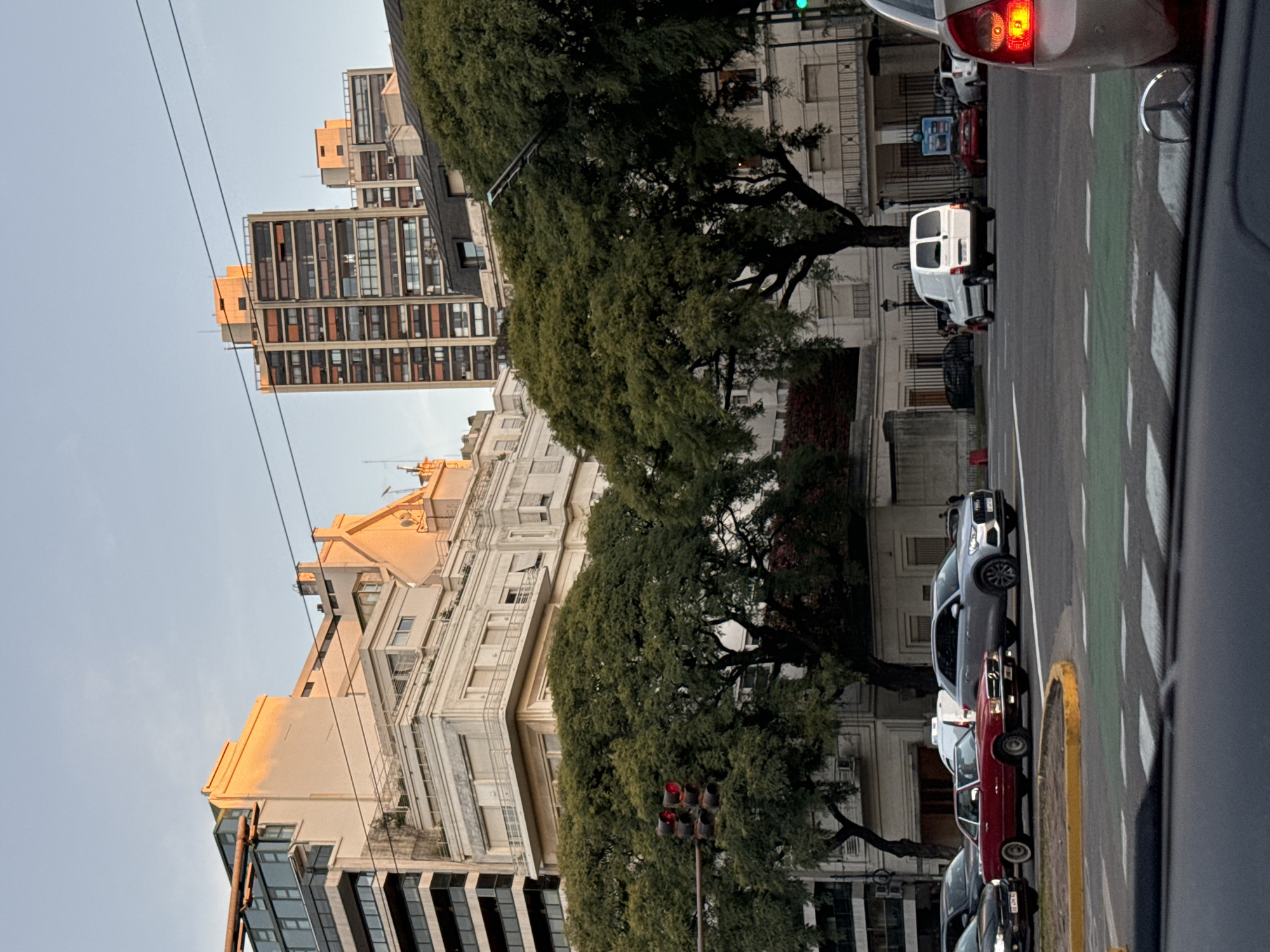 The image shows a street scene in Buenos Aires, Argentina, featuring a mix of architectural styles. Buildings include a modern high-rise apartment building and a grand, ornately decorated older building with white facades. Mature, leafy trees line the street, obscuring some of the buildings and a traffic light with red lights illuminated. A street with a bike lane is visible, along with parked cars. The image appears to be taken from inside a car, with a portion of the vehicle visible on the right side of the frame.
