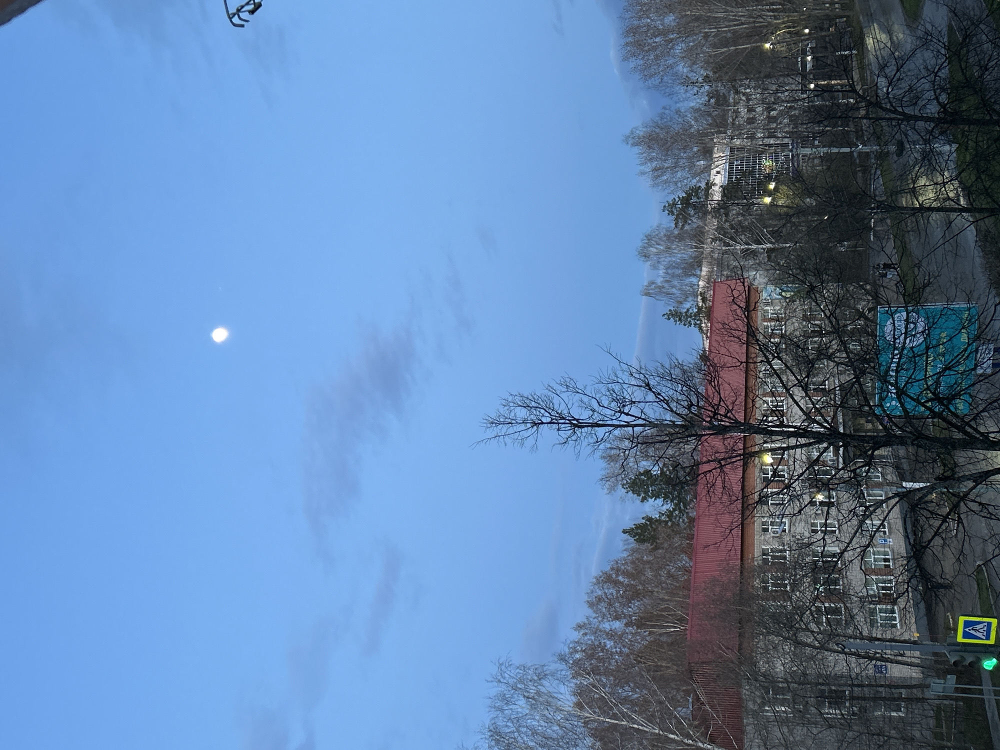 The image captures a twilight scene in Chaikovsky, Russia, depicting an urban landscape under a clear, pale blue sky. The time of day is early evening or late afternoon, as indicated by the visible full moon high in the sky and illuminated streetlights below, while the sky retains some daylight hue.
The upper portion of the frame is dominated by the blue sky, featuring a bright, distinct moon on the left and a few faint, wispy clouds scattered across. Below the sky, the landscape comprises a mix of natural elements and urban infrastructure. Numerous bare deciduous trees, possibly birches, line the mid-ground and foreground, their intricate branch patterns creating a dense, dark silhouette against the lighter sky and buildings. Some evergreen trees are also visible, adding patches of darker foliage.
In the mid-ground, several multi-story buildings are visible. A prominent building on the right has a distinctive reddish-brown sloped roof and light-colored facades with many windows, some of which appear to have lights on inside. Further in the background, another building with a more modern, possibly glass-fronted, section is discernible. A paved road or pathway runs through the scene, partially obscured by the trees.
Notable details include several glowing streetlights scattered throughout the tree line and near the buildings, further emphasizing the twilight setting. On the far right, a yellow diamond-shaped sign with a black pedestrian symbol (indicating a pedestrian crossing) is clearly visible. Below it, a traffic light shows a green signal. A large blue rectangular sign is partially obscured by trees on the right; the word "ЧАЙКОВСКИЙ" (Chaikovsky) is clearly legible at the top, serving as a direct location cue. Below this, "БЛАГОУСТРОЙСТВО И ОЗЕЛЕНЕНИЕ" (Improvement and Greening) can be partially discerned, suggesting a municipal service sign. Two small, indistinct figures, likely people, can be seen walking on the paved surface in the distance among the trees. The overall mood is quiet and still, characteristic of a city at dusk.