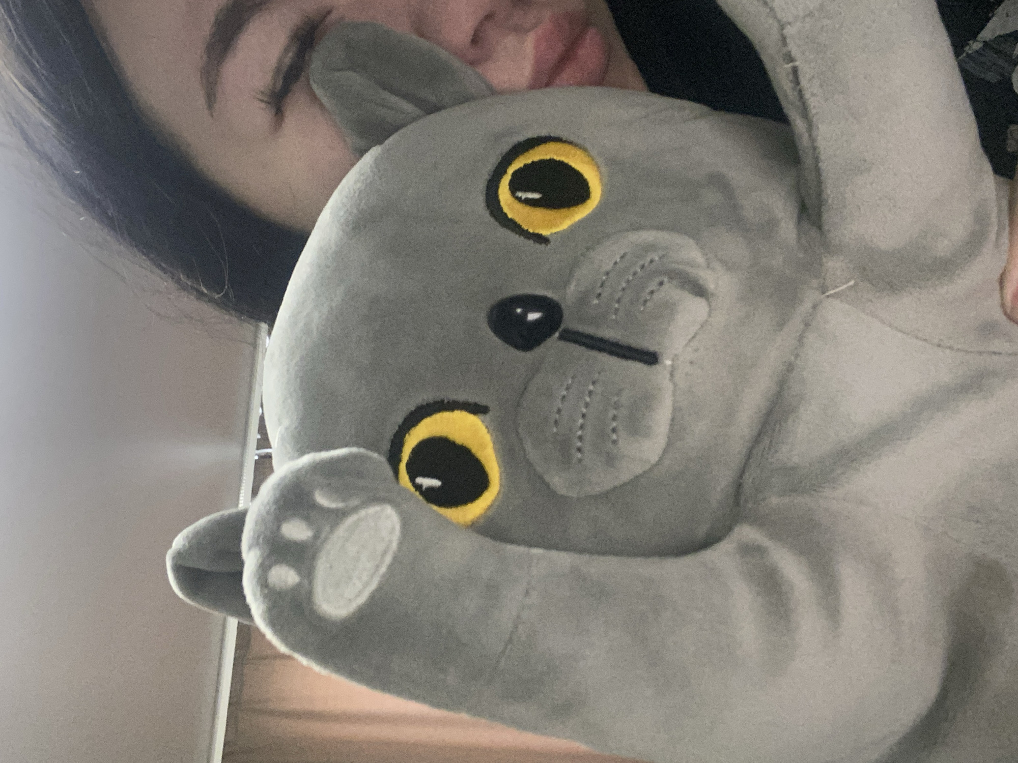 A woman is holding a gray plush cat toy. The cat toy has yellow eyes, a black nose, and a paw with white pads visible. The woman is partially visible, showing her face and dark hair. The background is indistinct. The location is not evident from the image.