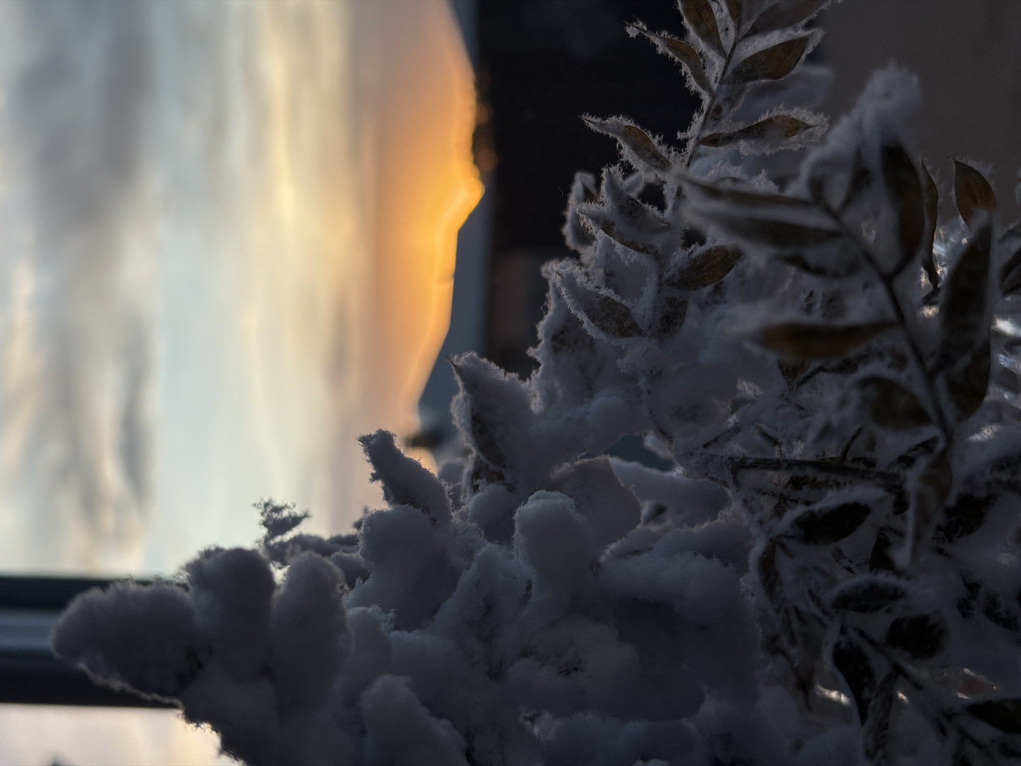 The image depicts a close-up view of frost-covered foliage, possibly a bush or small tree, set against the backdrop of a blurred sky with orange and grey tones, suggesting either sunrise or sunset. The location is likely Chaikovsky, Russia, judging by the request. The frost clings to the leaves and branches, creating a white, textural contrast with the darker areas of the foliage. The background sky is out of focus, giving the impression of a soft, diffused light. There are no people visible, and the focus is entirely on the interaction of the frost with the plant and the soft light of the sky.