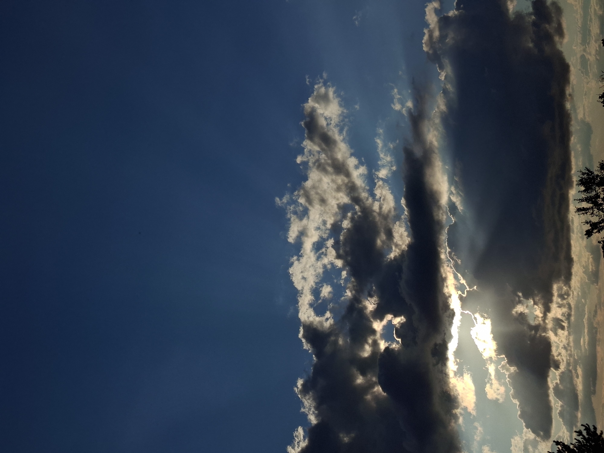 A vertical, low-angle shot captures a dramatic sky with dark, ominous clouds interspersed with bright, sunlit patches. The sun's rays are partially obscured by the clouds, creating a crepuscular effect with beams of light piercing through. The upper portion of the image is dominated by a clear, deep blue sky. In the lower third of the frame, the silhouettes of trees and foliage are visible against the brightly lit clouds, suggesting the presence of a natural landscape or parkland on the edge of an urban area. The overall lighting suggests either early morning or late afternoon.