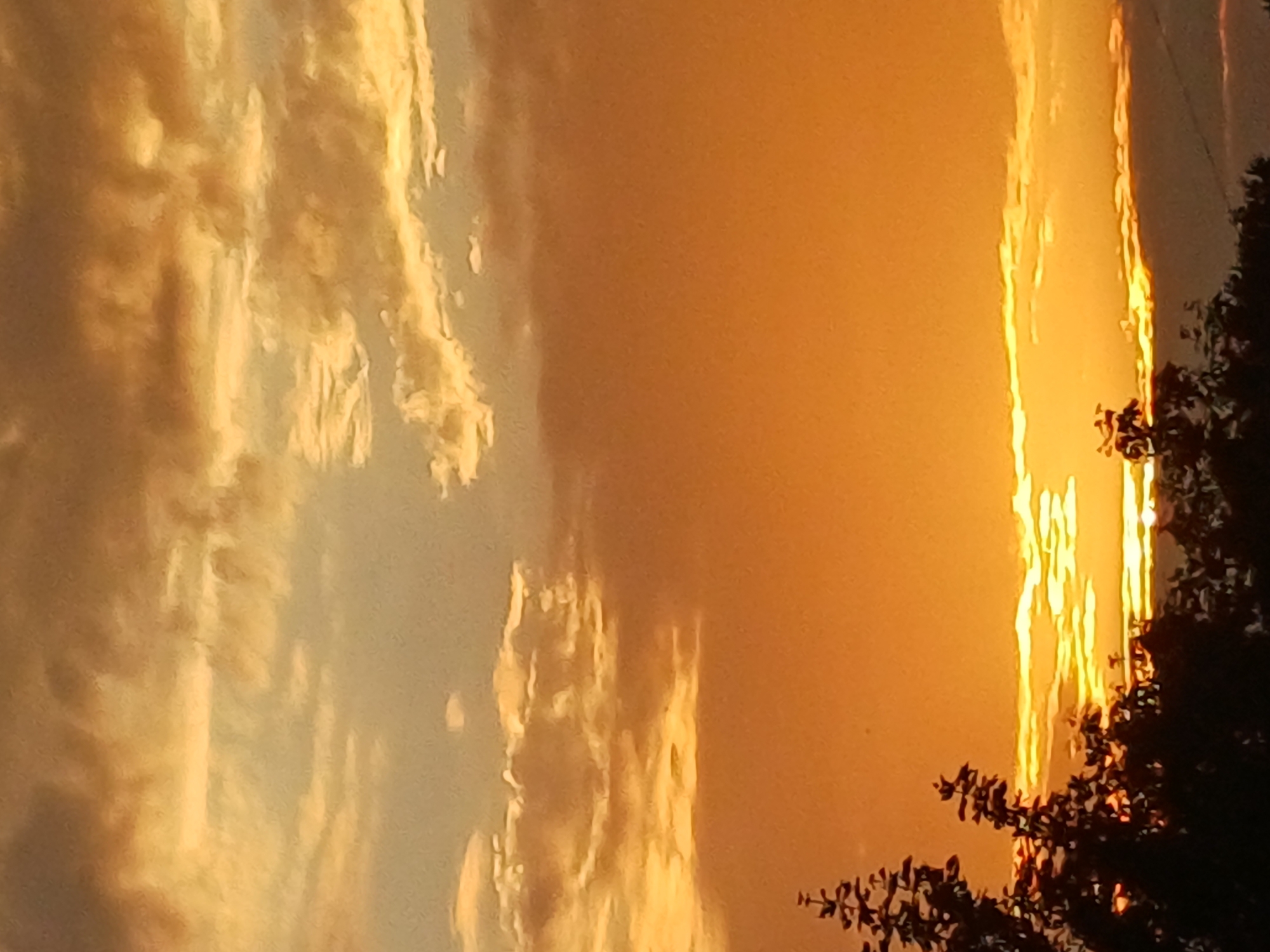 The image captures a dramatic sunset over Riga, Latvia, with the sun, a brilliant source of light, positioned on the right side of the frame. The sky is dominated by vibrant hues of orange and yellow, suggesting a late afternoon or early evening setting. Wispy clouds, illuminated by the setting sun, are scattered across the sky, with some appearing as delicate brushstrokes of light and others as more defined formations.
On the far right, the silhouette of trees creates a dark, textured border, contrasting sharply with the luminous sky. The foliage appears dense, indicating a wooded area or park. The intense light from the sun creates a strong halo effect around the tree branches and hints at the sun's proximity to the horizon. The overall mood evoked is one of natural beauty and tranquility, with the vibrant colors of the sunset painting a picturesque scene. No people or specific objects are clearly discernible, focusing the viewer's attention on the celestial display. The orientation of the image is vertical, lending a sense of height and scale to the sky.