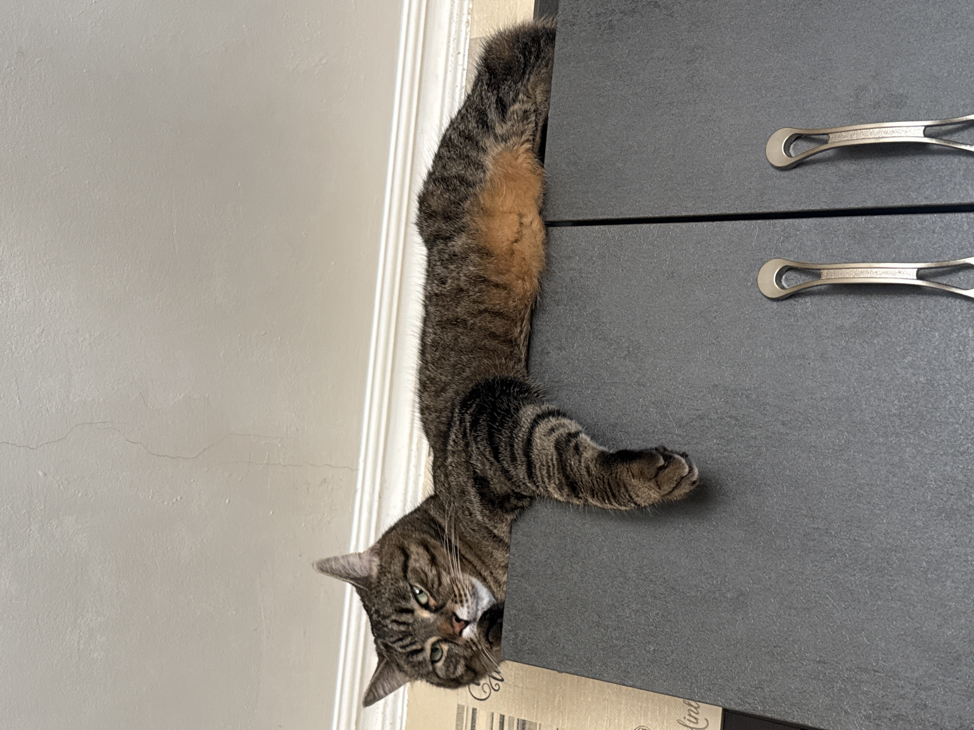 A tabby cat is lying horizontally on top of a grey kitchen cabinet. The cat's head is to the left, and its body extends to the right. Its front paws are tucked underneath its body, and its hind legs are extended, with one paw hanging off the edge of the cabinet. The cat's tail is visible to the right. The cabinet has two silver handles. The background shows a white ceiling with some light fixtures and a textured wallpaper. The location is the city of Simferopol, Ukraine.