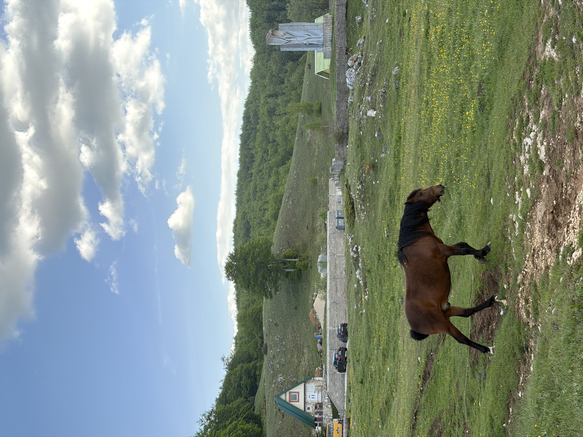 The image shows a brown horse standing in a grassy field in Trsa, Montenegro. The sky is partly cloudy with a mix of gray and white clouds. A green, forested hillside is visible in the background, along with a monument and a building with a green roof. In the far background, houses and vehicles are parked on a paved area. The ground is covered in green grass, with some yellow flowers mixed in.