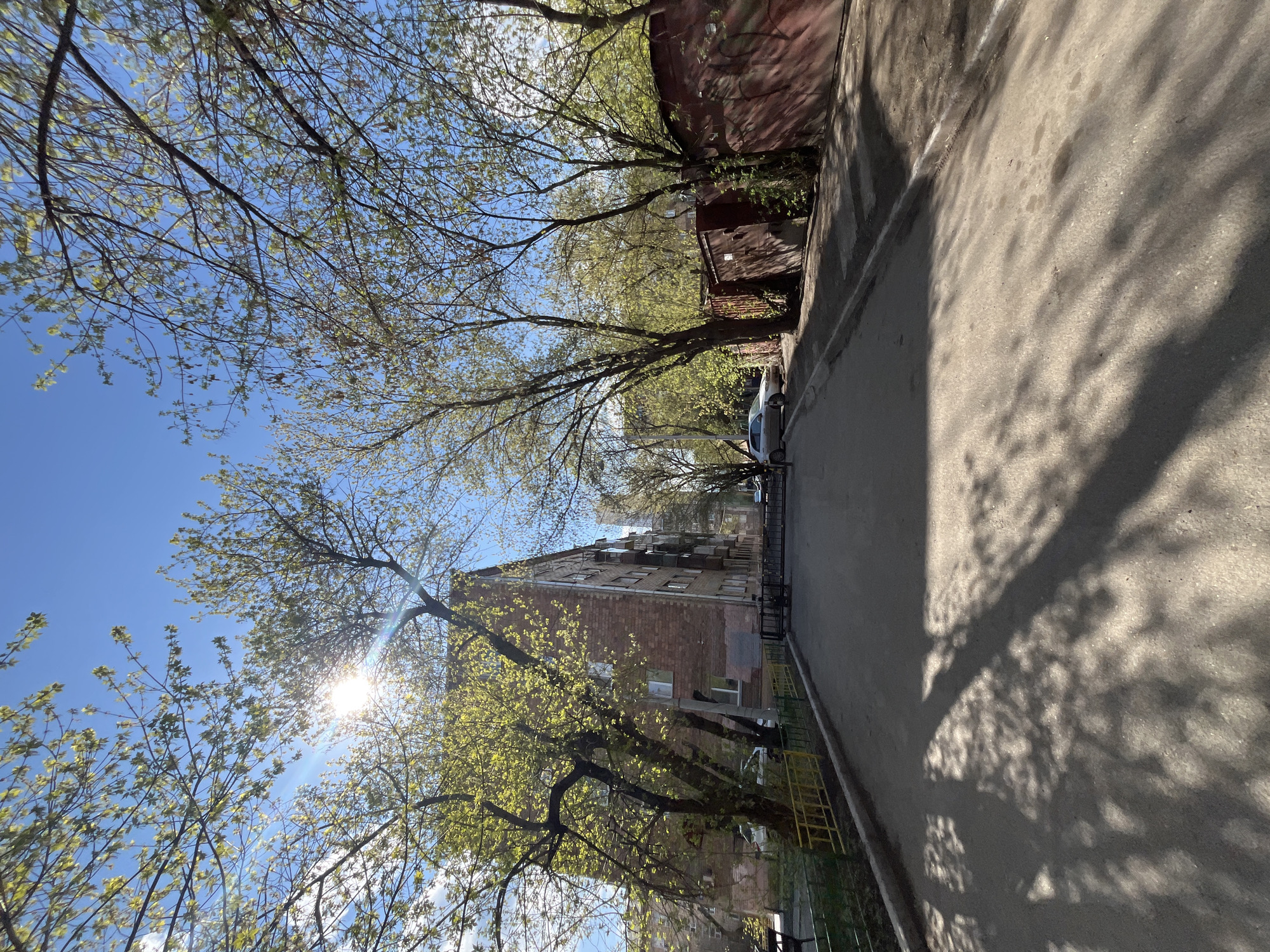 The image shows a street scene in Unknown, Unknown. The view is taken from street level, angled upwards. On the left, the sun shines through the branches of trees with fresh green leaves against a blue sky. Shadows from the trees fall on the asphalt road to the right. A brick building is visible behind the trees. A fence runs along the right side of the road. In the distance, cars are parked along the street. A brick wall is seen on the right side of the road.
