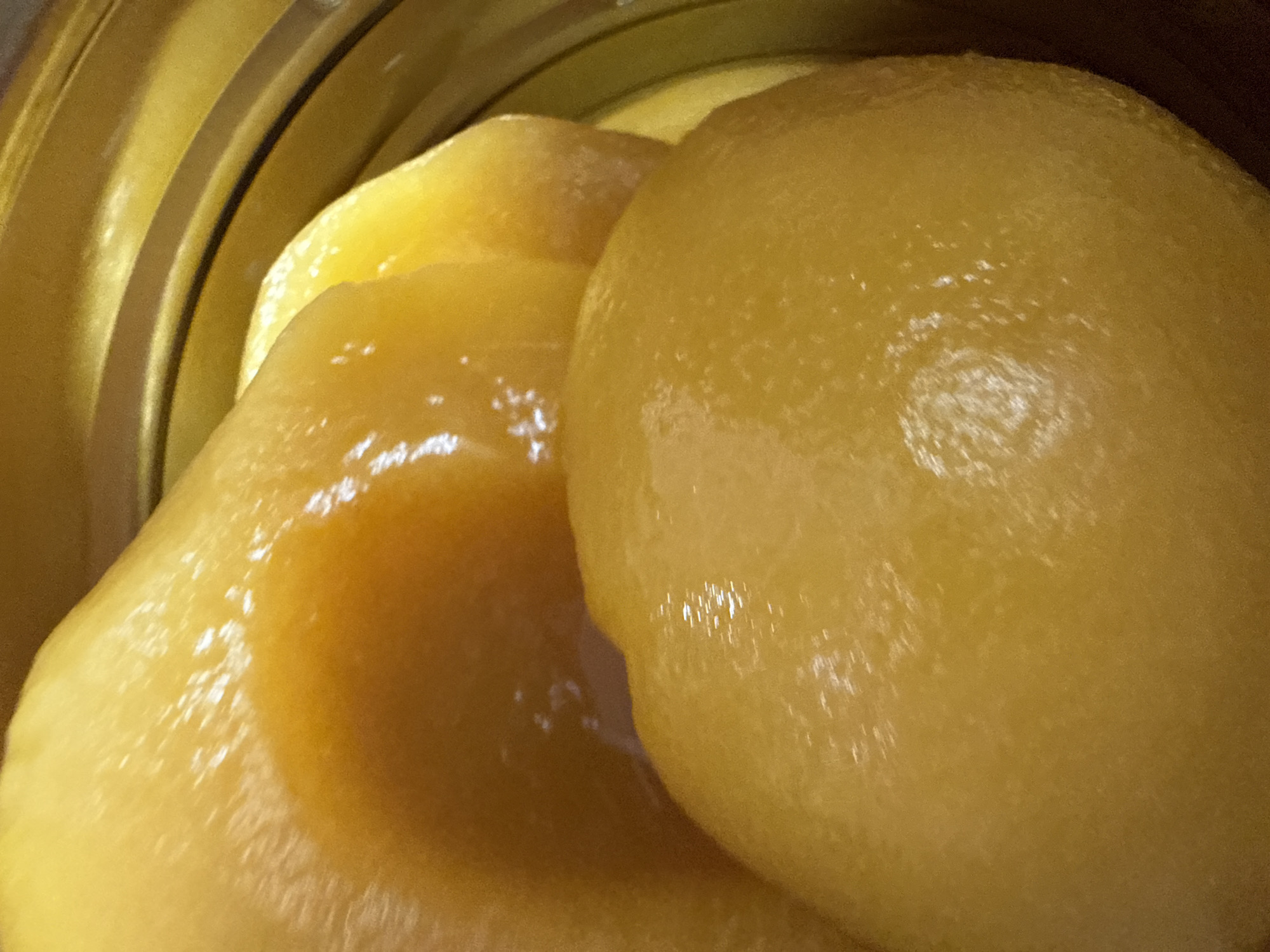 The image depicts a close-up view of canned peaches, likely within a partially open can. The peaches are a uniform yellow color and appear to be coated in a sugary syrup. The metallic edge of the can is visible along the upper portion of the image. The location and environment are not discernable from the image. There are no people present.