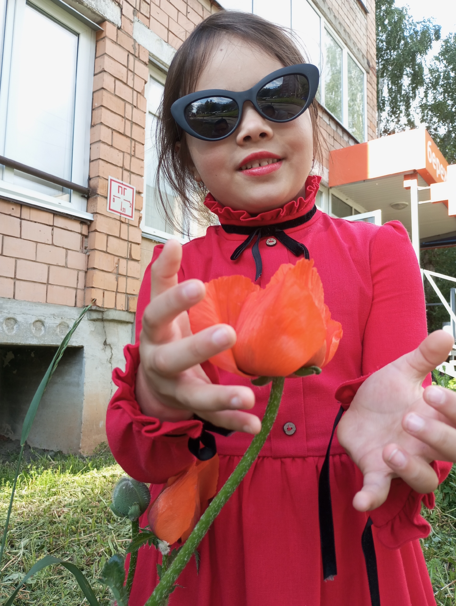 The image captures a young girl outdoors, standing in front of a brick building. She is wearing a vibrant red long-sleeved dress with ruffled details on the collar and cuffs, accented with black ribbon and a black button at the neckline. Her accessories include large, black cat-eye sunglasses that reflect trees and a street, and bright red lipstick. She has a slight, playful smile as she looks directly at the camera.
The primary activity is the girl presenting a large, vivid orange poppy flower, which she holds with both hands. A second, green poppy bud is visible lower on the same stem. The setting appears to be a grassy area next to a building, possibly residential or commercial, given the windows and architectural style.
Notable details include:
- The time of day is bright and clear, indicating daytime.
- The girl's expression conveys a sense of cheerfulness and perhaps a touch of mischievousness due to her stylish attire.
- A red and white sign is affixed to the brick wall behind her, displaying the Cyrillic letters "ПГ" (likely for "пожарный гидрант" - fire hydrant) and numbers "0", "2", "11".
- In the upper right background, a partial orange sign is visible, showing the Cyrillic text "Берег" (Bereg, meaning "shore" or "bank").
The location is Izhevsk, Russia.