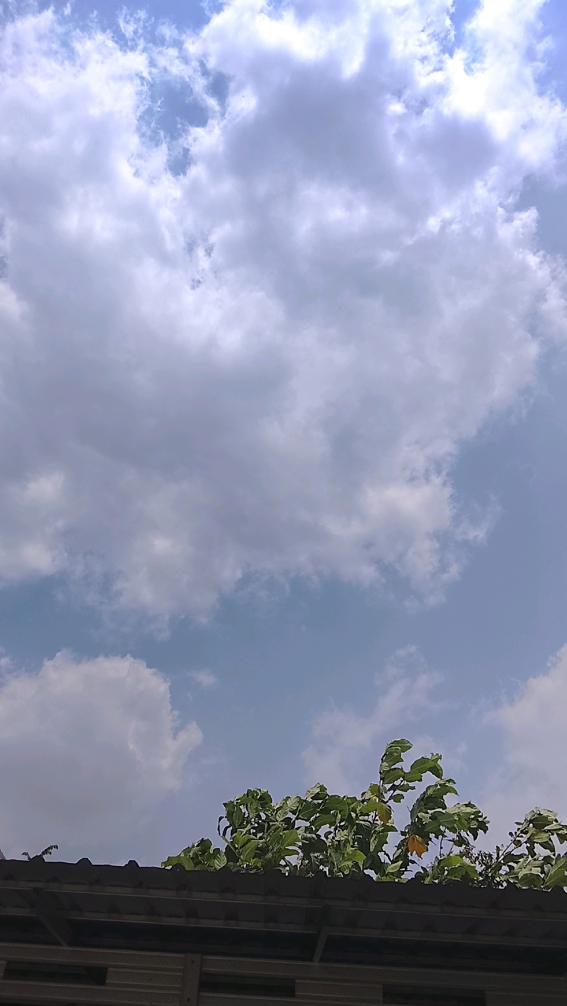 This image captures a clear sky with scattered clouds, typical of the weather in Slawi, Indonesia. In the foreground, a dark, corrugated metal roof extends across the bottom of the frame. Above the roof, lush green foliage from trees partially obscures the sky, with some leaves appearing to sway. The overall impression is a serene outdoor scene, likely taken from a residential or elevated vantage point in Slawi.