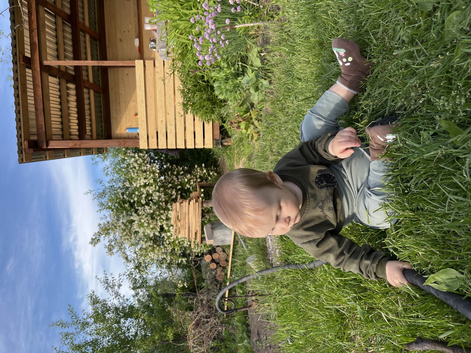 A young child with light blonde hair, wearing an olive-green long-sleeved shirt, light blue trousers, and brown soft booties, is seen lying or crawling on bright green grass in an outdoor setting. The child's hands are wrapped around a thick black garden hose, indicating engagement and curiosity.
In the mid-ground, to the left, a rustic wooden shed or outdoor shelter with a corrugated metal roof and slatted wooden walls is visible. On a shelf within the shed, a blue spray can and several metal bowls can be seen. Adjacent to the shed, a patch of purple flowering plants, possibly chives, adds color to the verdant landscape. Further into the background, a stack of firewood is neatly piled on the ground.
The scene is illuminated by bright daylight, suggesting morning or afternoon. The sky is clear blue with soft, wispy white clouds. Deciduous trees with light green leaves or white blossoms are scattered throughout the background. The child appears calm and focused on the object in their hands. This outdoor garden or yard scene is located in Chaikovsky, Russia. There is no visible text in the image.