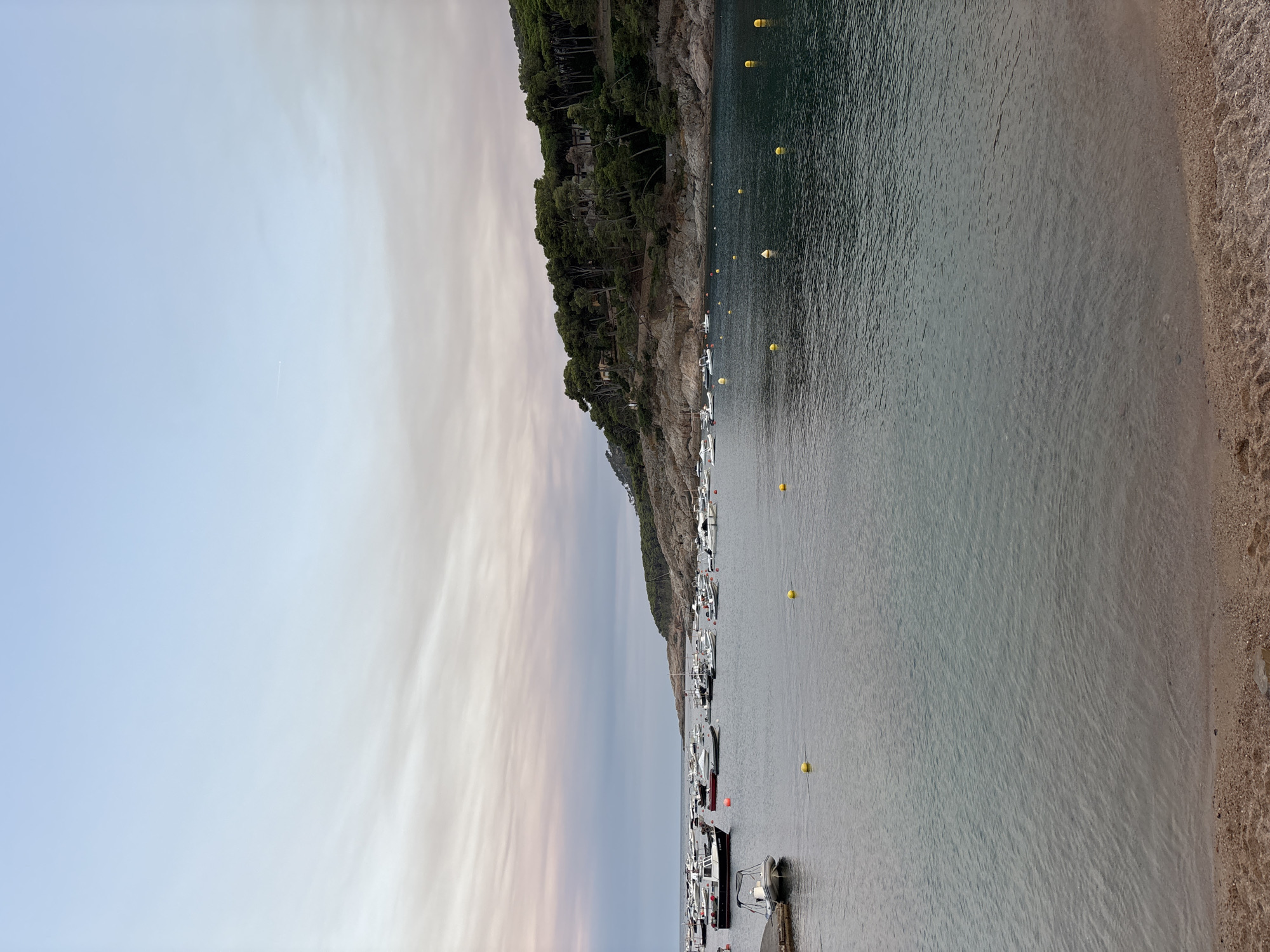 The image depicts a serene coastal scene in Palafrugell, Spain. In the foreground, a sandy beach meets the calm, teal-colored water of a bay. Scattered across the water are several yellow buoys. Further out, numerous boats of various sizes are anchored, including a prominent white and black vessel in the middle ground. Beyond the boats, a rocky, tree-covered hillside rises, with a few buildings nestled amongst the dense green foliage. The sky above is a soft gradient of pale blue and muted pinks, indicating either dawn or dusk. The overall impression is one of tranquility and natural beauty.