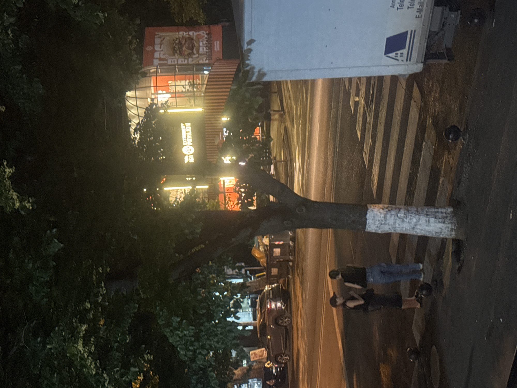 The image depicts a nighttime scene on a street in Tbilisi, Georgia. The orientation of the image is such that the ground appears on the right side and the sky on the left. A large tree with dark foliage dominates the left side of the frame, its trunk painted with a white band partway up. Behind the tree, a building with illuminated signage is visible. One sign, in vertical orientation, reads "EXPRESS PAVILION" in yellow lettering against a dark background with a circular logo. Another sign, higher up, is red with white and yellow text and graphics.
To the right of the tree, a white truck is parked, with the rear portion of its trailer visible. On the trailer, some text is present, including "Acc", "Tele", "Tele", and "E-Mail". A blue and white logo featuring a house-like structure is also visible on the trailer. Adjacent to the truck is a crosswalk, indicated by dark and light striped markings on the road.
On the sidewalk area, two people are seen. One person, wearing blue jeans and a dark shirt, stands with their back to the camera. Another person, wearing a dark shirt and shorts, is partially obscured behind the first. They appear to be standing or walking on the pavement.
The scene suggests a commercial area at night. The lighting from the building and the streetlights creates reflections on the wet pavement, indicating that it may have recently rained or is damp. The overall mood is somewhat subdued, typical of a nighttime urban environment.