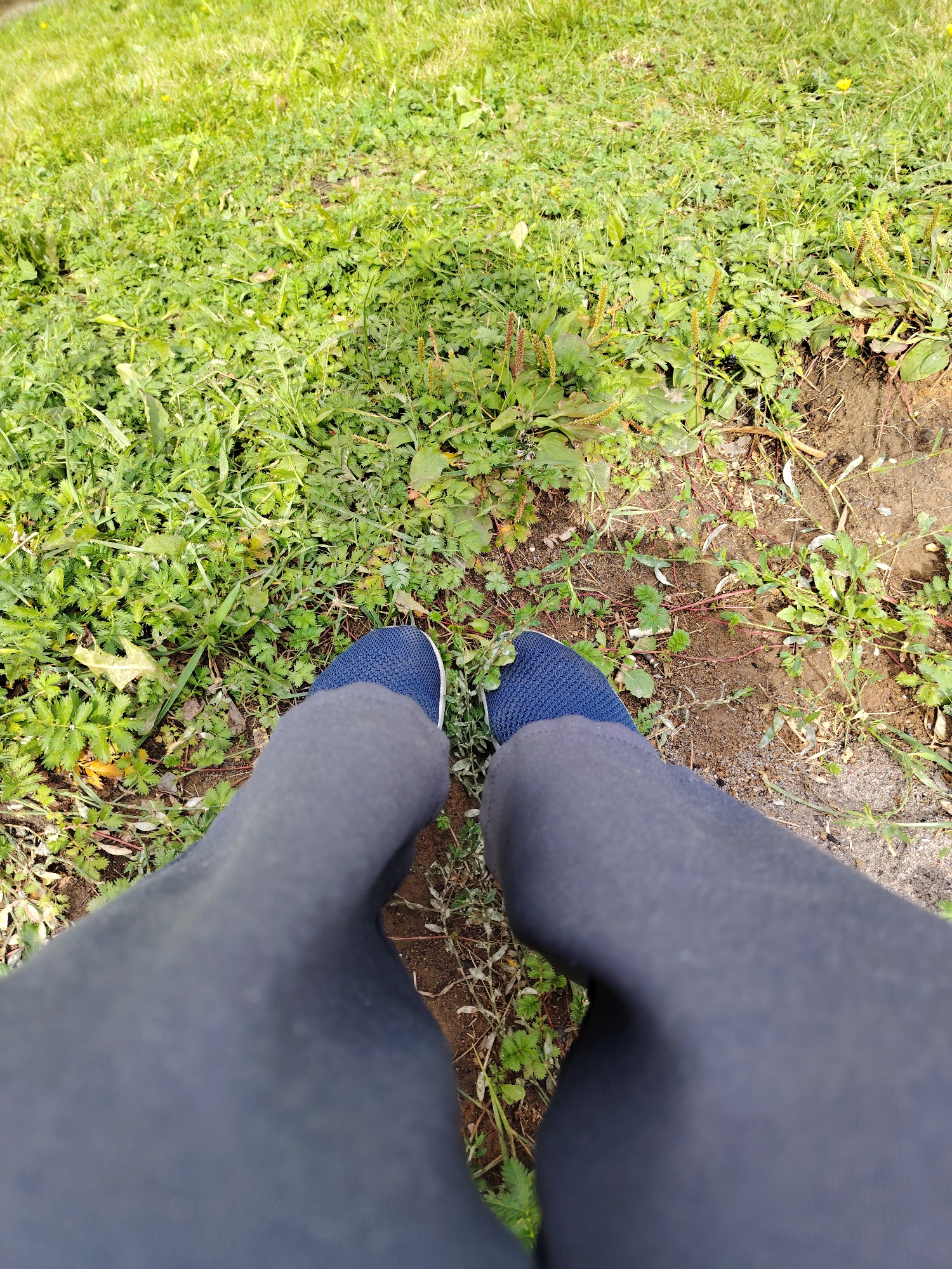 A first-person perspective shot shows a person standing on a patch of grass and dirt. The person is wearing dark leggings and blue athletic shoes. The ground is covered in green grass, with patches of bare dirt and small plants. The scene appears to be an outdoor area, possibly a park or a natural space, in Хоругвино, Russia. There are no other people or objects visible in the frame. The lighting suggests it is daytime.
