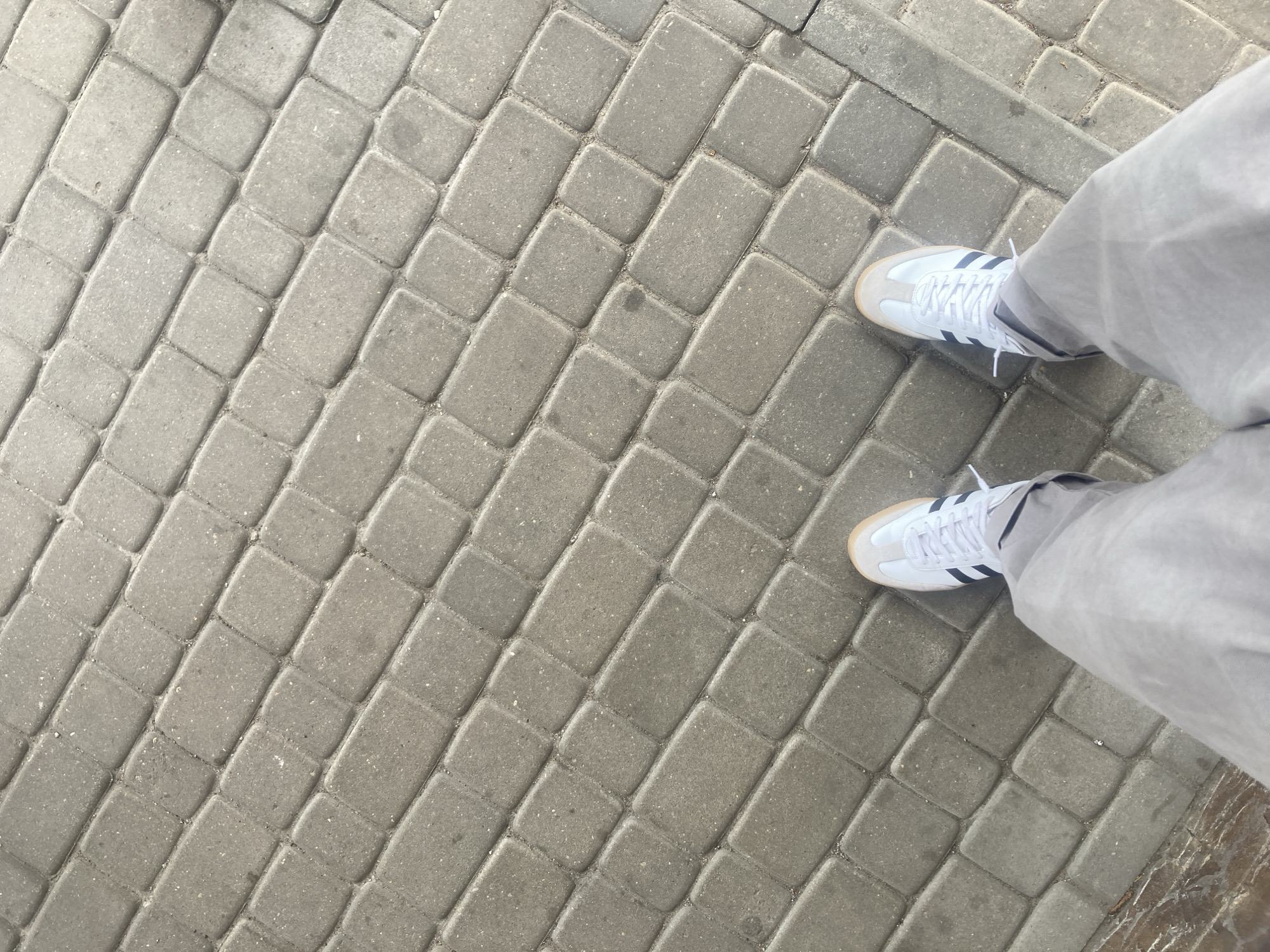 The image shows a person standing on a paved surface in Парыцкі сельскі Савет, Belarus. The ground is made of gray rectangular pavers arranged diagonally. The person is wearing light gray pants and white Adidas Samba sneakers with black stripes. Only the person's legs and feet are visible. The background consists of the gray pavers.