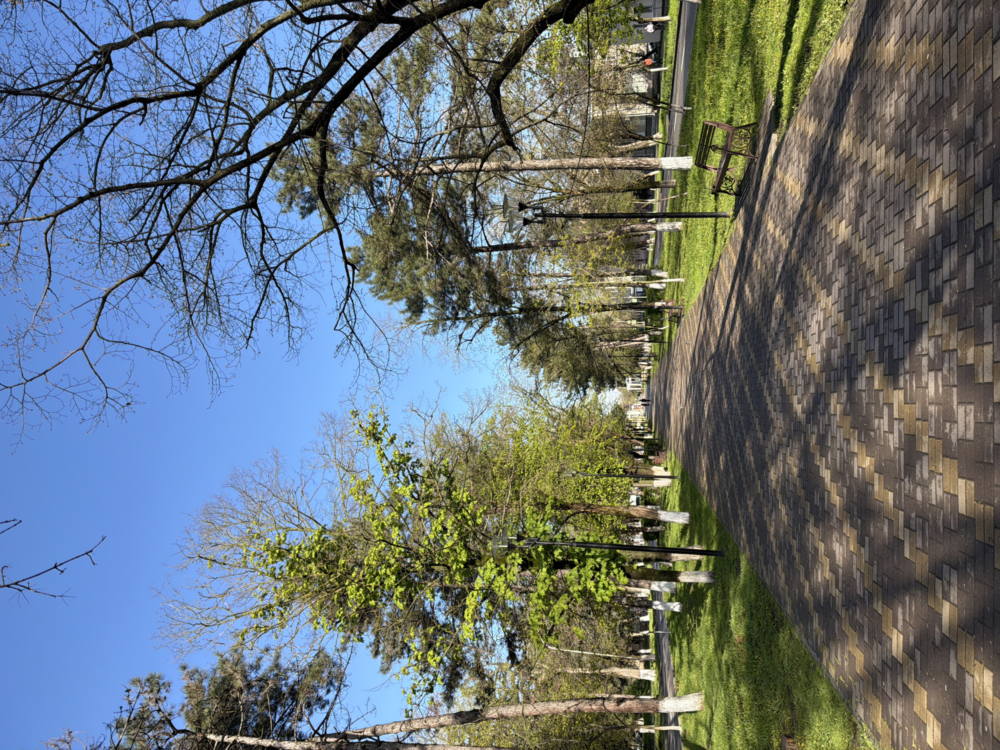 The image shows a park scene in Mineralnye Vody, Russia. A paved walkway runs diagonally through the frame, constructed of rectangular bricks in alternating shades of grey and tan. On either side of the path, there is green grass. Trees line the path, with their trunks painted white at the base. Some trees have bare branches, while others are budding with new green leaves. A bench is visible on the right side of the path. Lampposts stand among the trees, and a clear blue sky is visible through the branches.