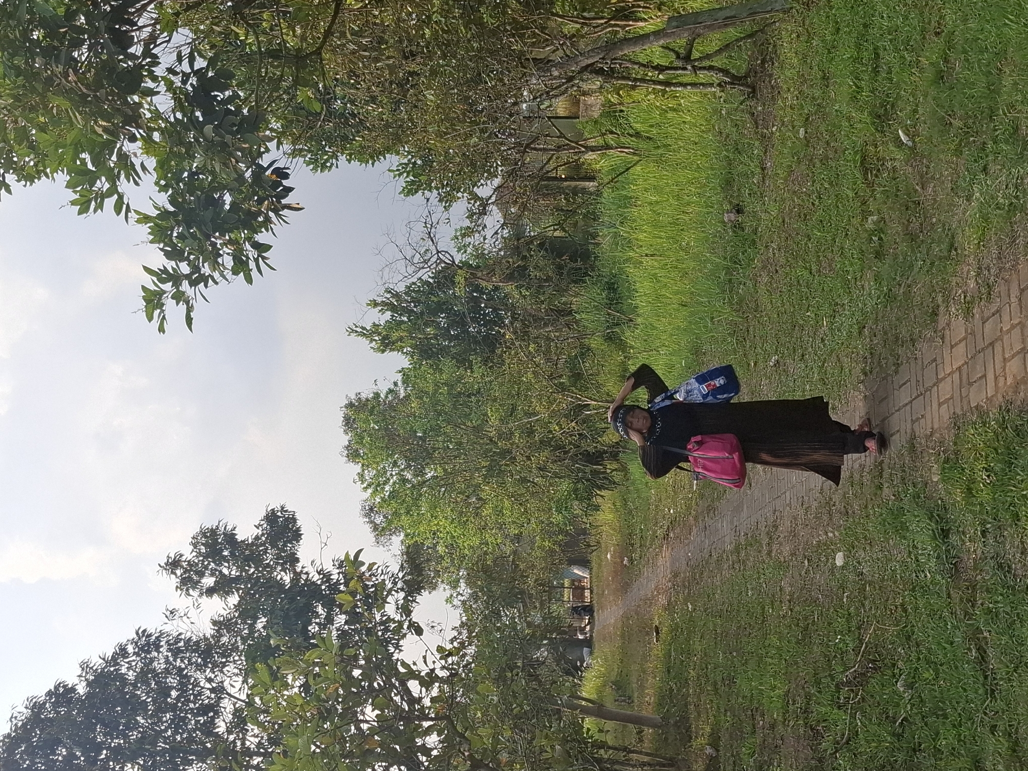 The image depicts an outdoor scene in Ciheulang Tonggoh, Indonesia. A woman is walking on a brick pathway through a grassy area with trees. She is wearing a long, dark-colored dress and a headscarf. She is carrying two bags, one pink and one blue and white patterned. Her hands are raised to her head. The pathway is bordered by green grass and various trees with lush foliage. In the background, there are more trees and a glimpse of what appears to be a structure with some objects and possibly people sitting. The sky is overcast with clouds.